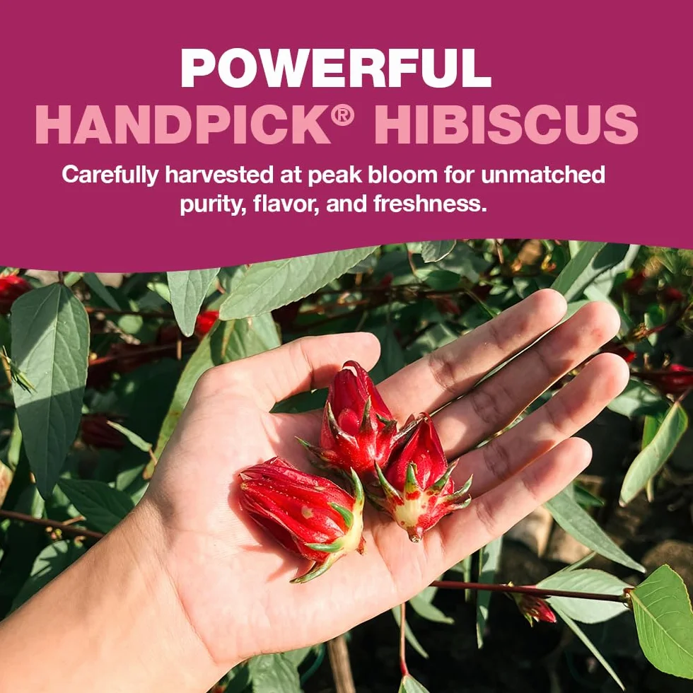 Té de Hibisco en Bolsitas Ecológicas 100 Bolsitas Redondas Sin Cafeína Hibisco Puro