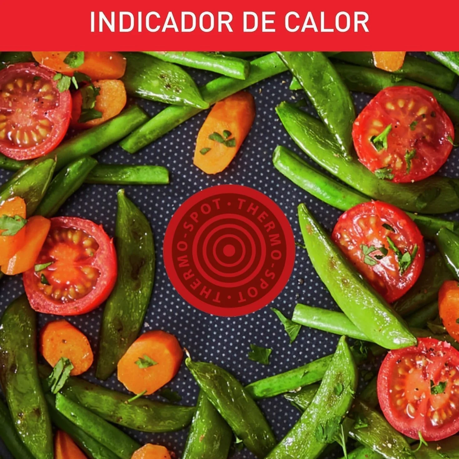 Tefal Duetto Juego de Sartenes 20/24/28 cm Antiadherente Titanio Inducción