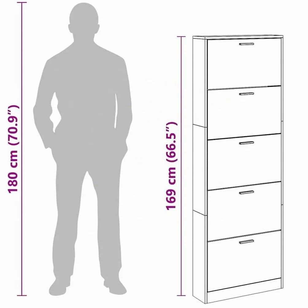 vidaXL Zapatero de Madera Blanco 5 Compartimentos Mueble Almacenaje de Zapato
