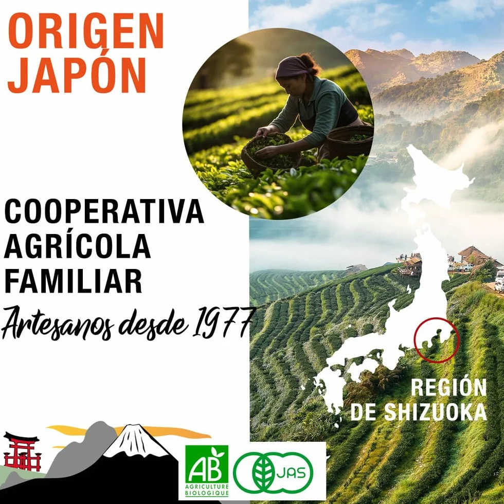 Té Matcha Ceremonial Ecológico Bio Japonés Shizuoka 30g Polvo Verde Matcha Tea