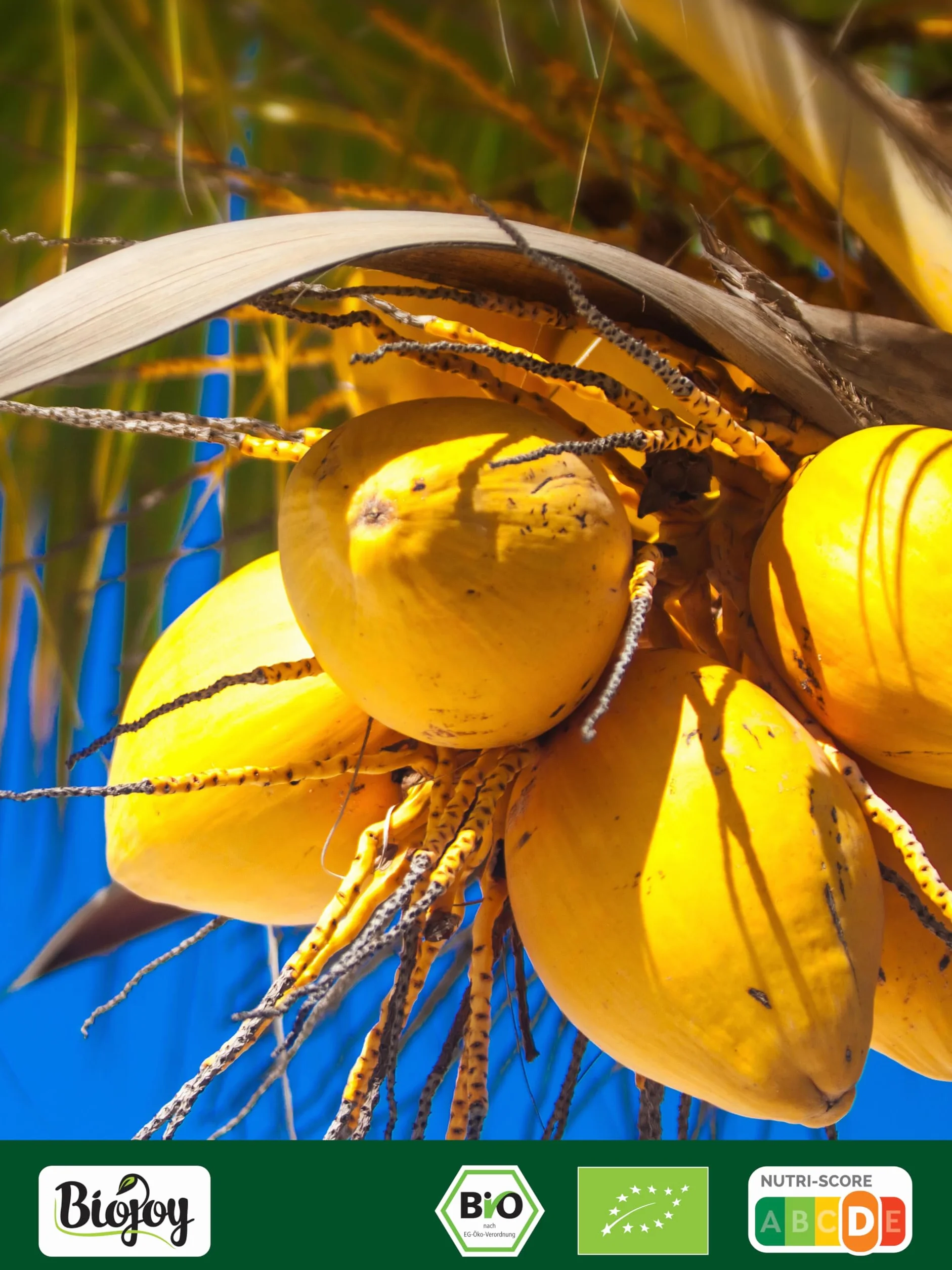 Biojoy Coco rallado deshidratado Ecológico 250 g sin azúcar añadido sin tostar