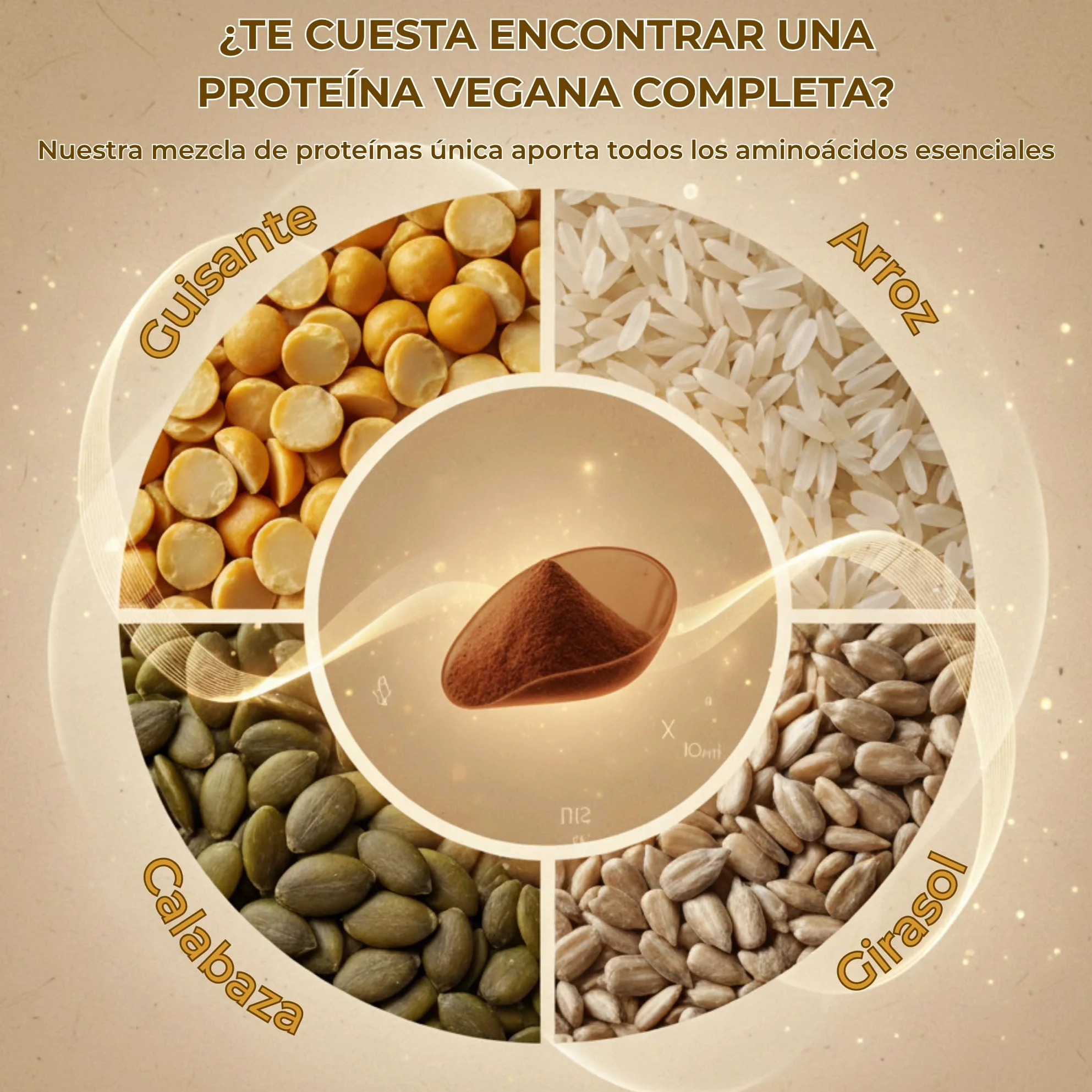 GLORIOSO Proteína Vegana Sin Azúcar Ni Lactosa Sin Gluten DigeZyme® Bajo en Carbohidratos Vegan Protein Powder Chocolate 600g