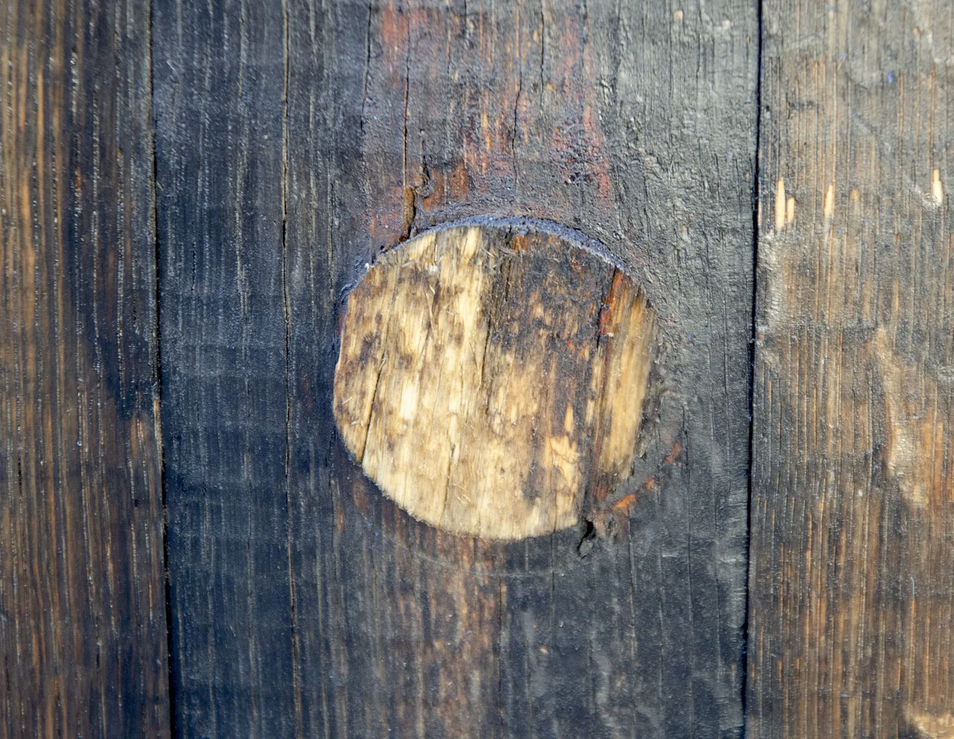 Temesso Barril de Madera Usado, auténtico Barril de Whisky escocés para decoración - con Tratamiento de Aceite