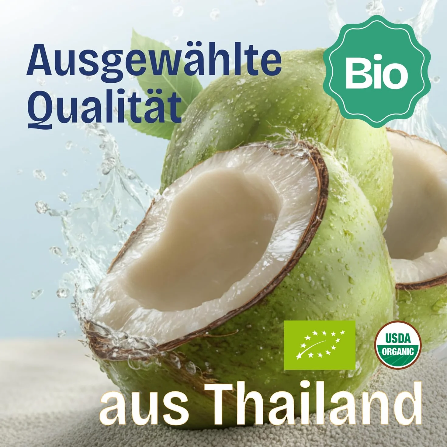 Thai Coco agua de coco 100% ecológica refresco natural Tailandia sin azúcar Tetra Pak 6x1 l