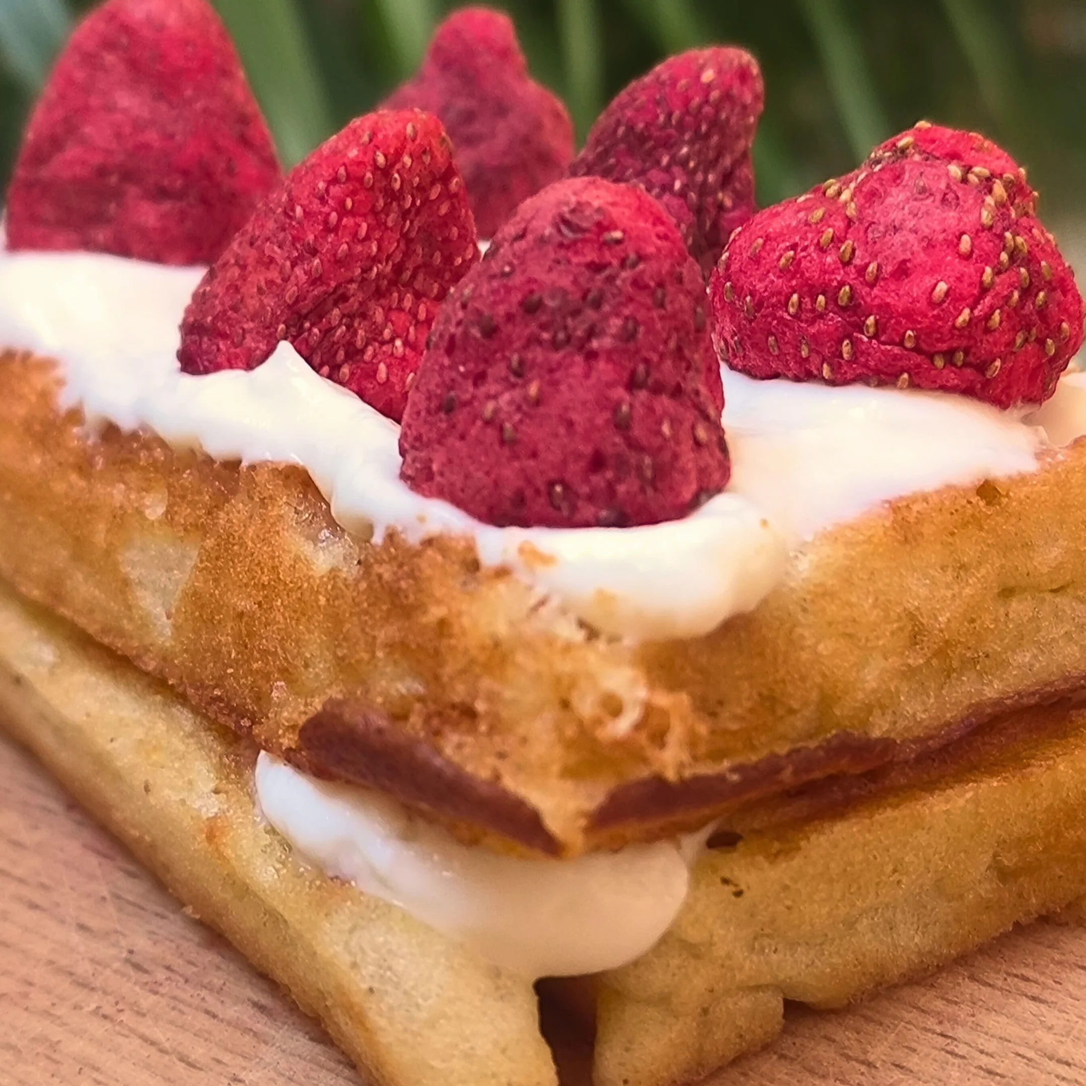 Fresa Liofilizada Entera 100% Fruta Pura Sin Azucar Vegana Cruda Strawberry ZingyZoo