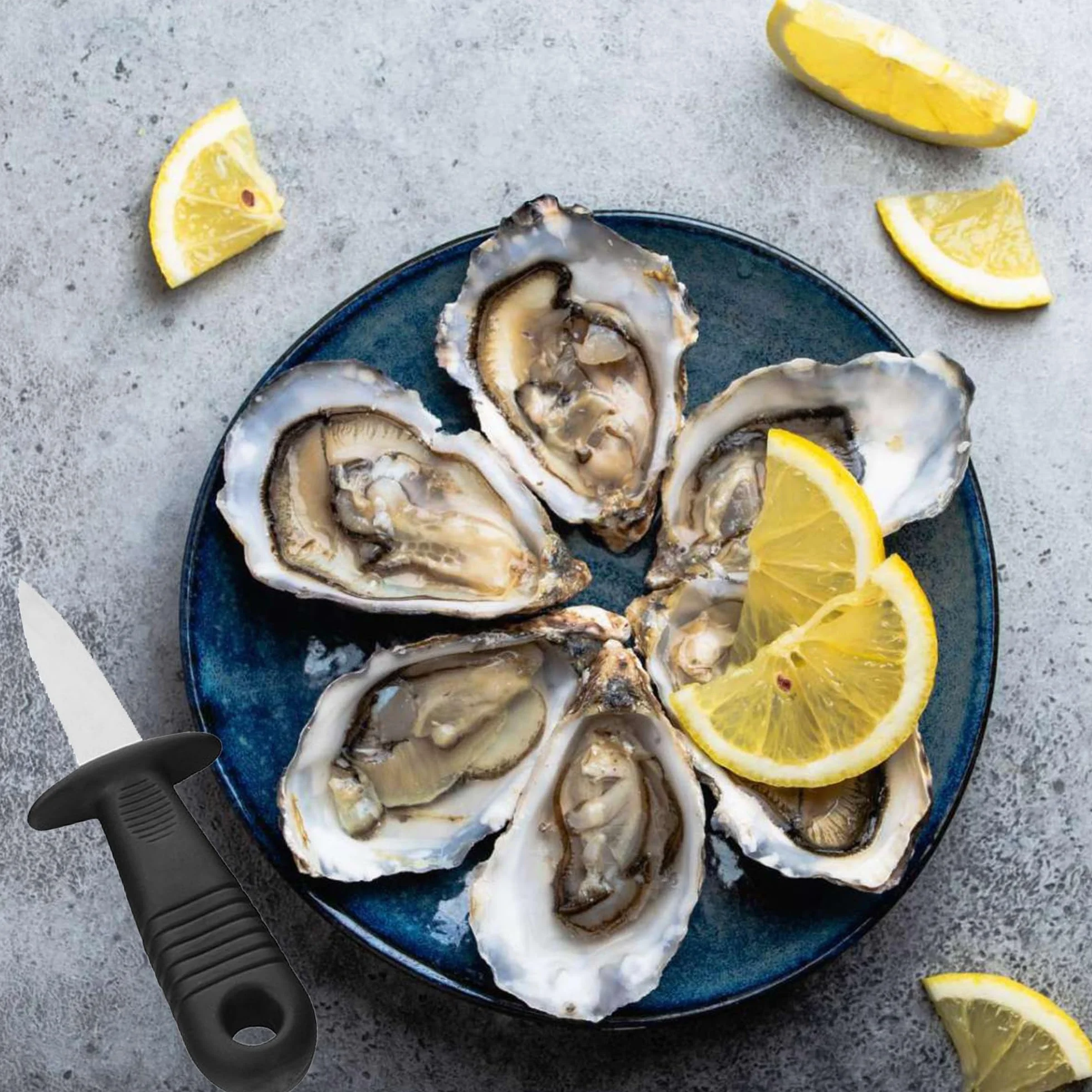 ZAHD 10 Piezas Shucker Set mariscos Cuchillo Ostras Profesional Abre Cuchillo para ostras Acero Inoxidable Abridor De Ostra Cuchillo para ostras de Acero para ostras, mariscos, mejillones (10)