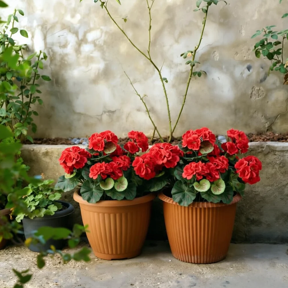 Geranios Artificiales Exterior Laelfe 4 Ramos Flores Decoracion Hogar Balcón Jardin Patio Maceta Colgante Rojo