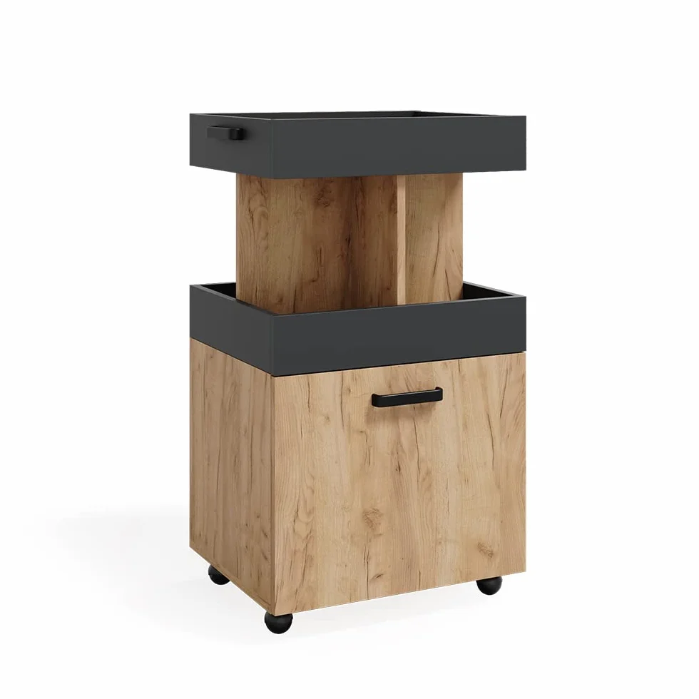 Vicco Mueble con Ruedas, Roble Dorado, 50 x 88.6 cm, con Ruedas, Flexible como Espacio de Almacenamiento Adicional