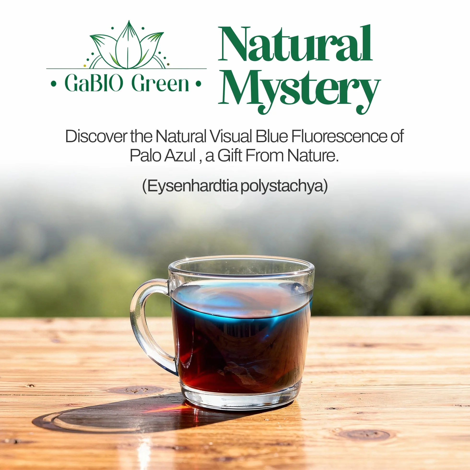 Gabio Green Grocery Tea Sampler 4 Ounce