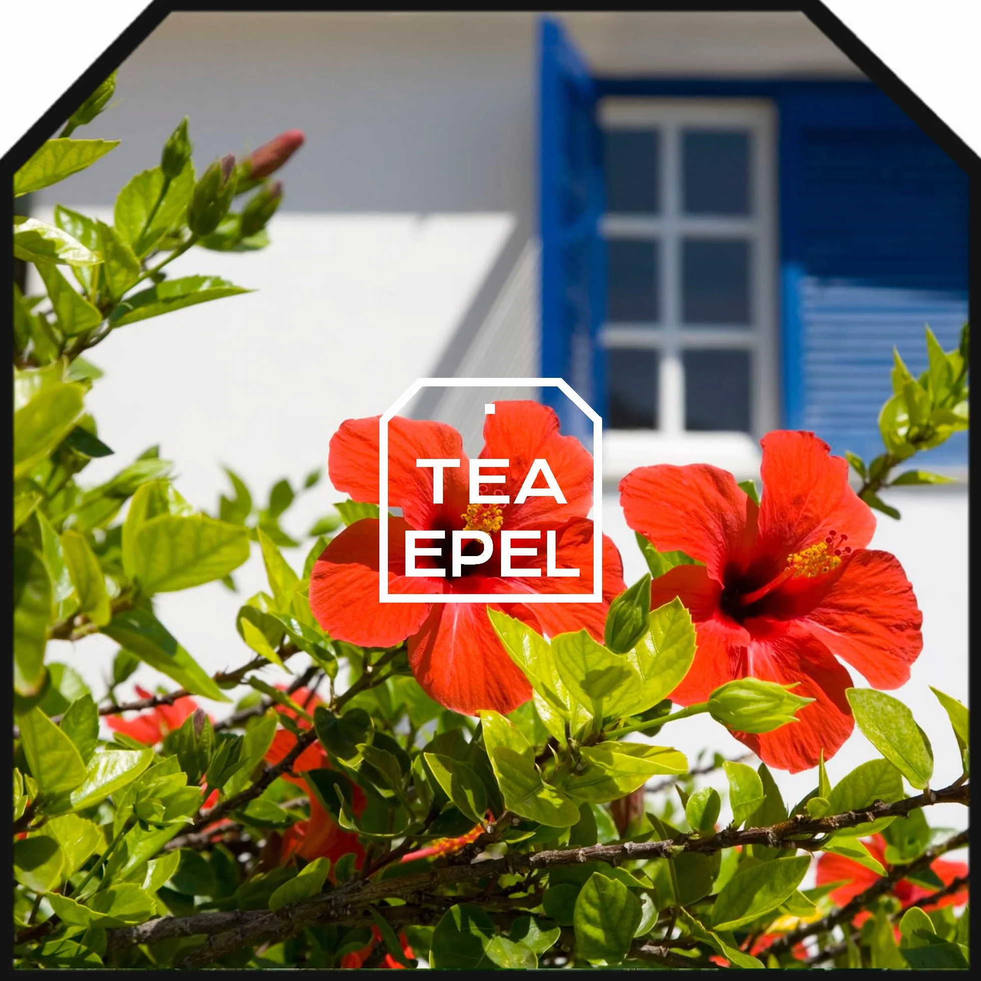 Flor de Jamaica para Adelgazar 200g - Té de Hibisco para Reducir Hinchazón - Infusión Antioxidante Natural para Bajar de Peso