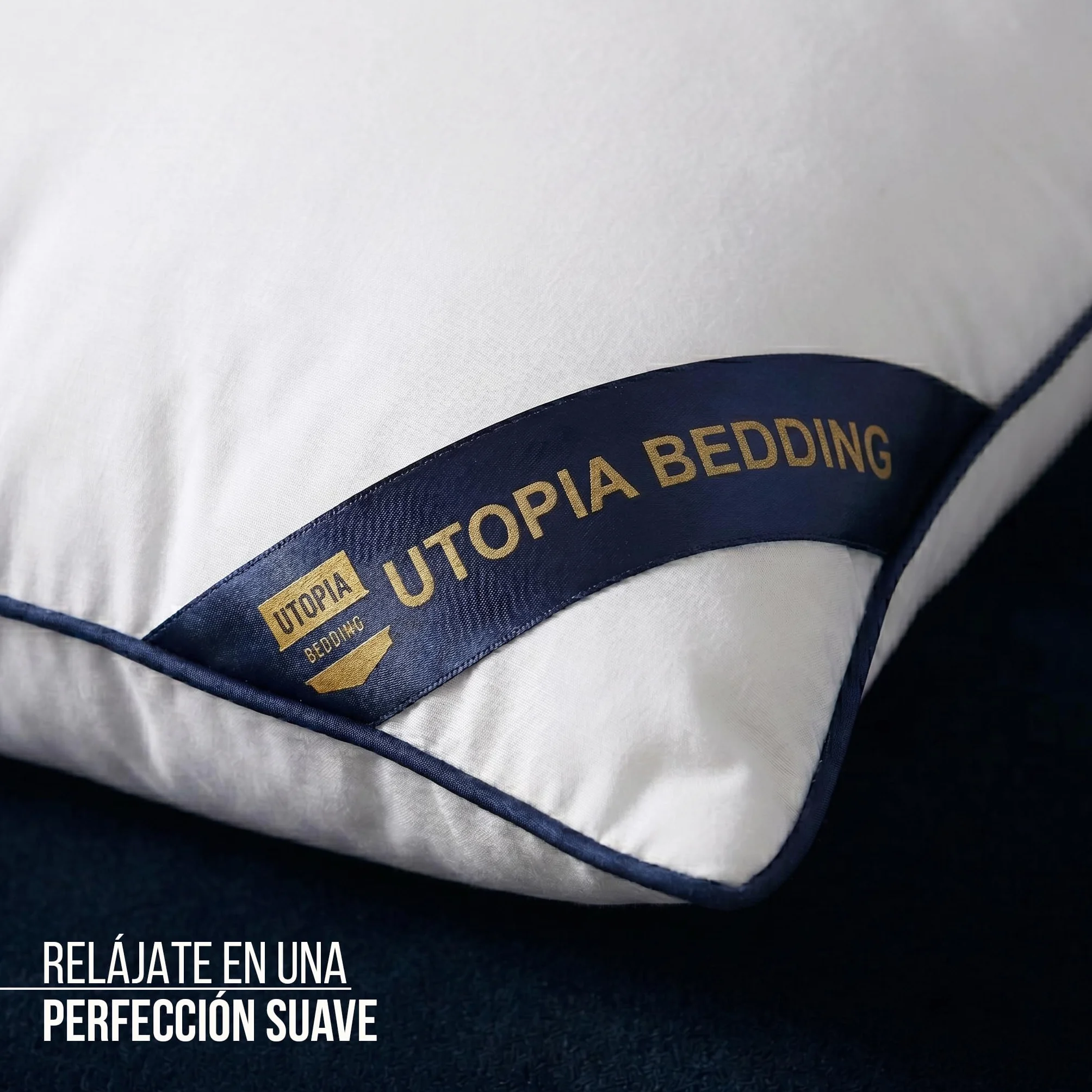 Utopia Bedding Relleno Cojín Decorativo 30x50 cm Blanco 2 Unidades