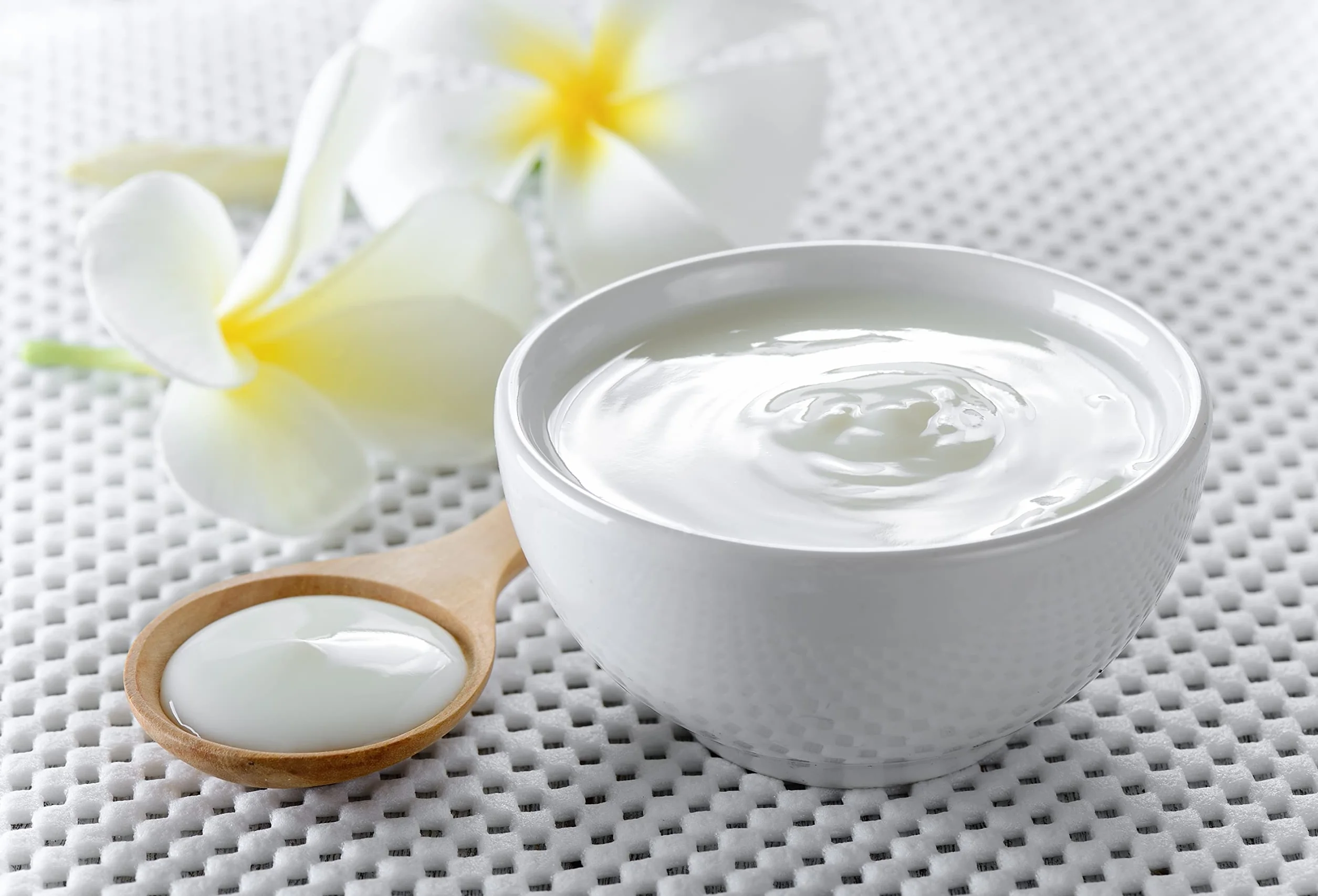 Nordic Style Ferment 3 Bolsita Liofilizada para Elaborar Yogur Casero Skyr Filmjölk Crème Fraîche