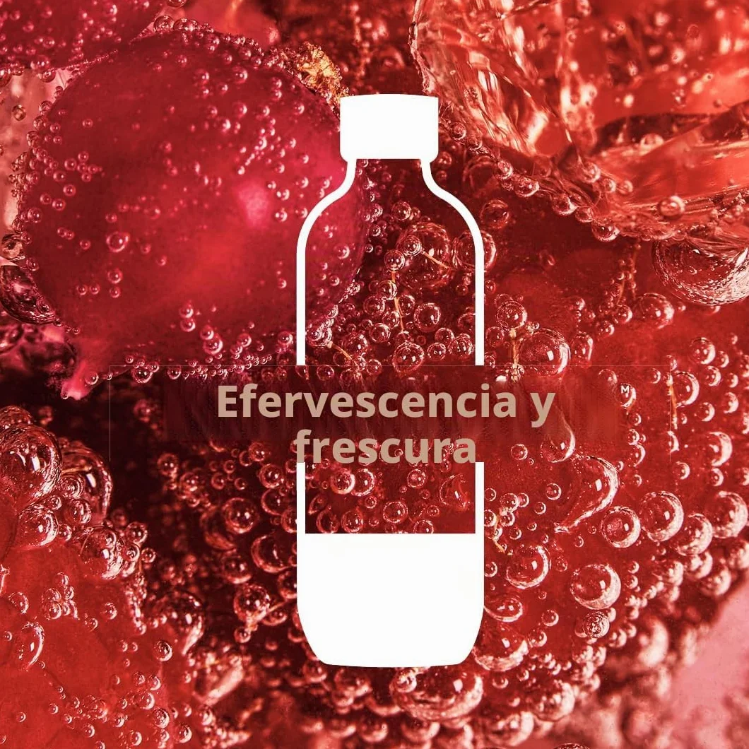 Bipack Botellas Universales