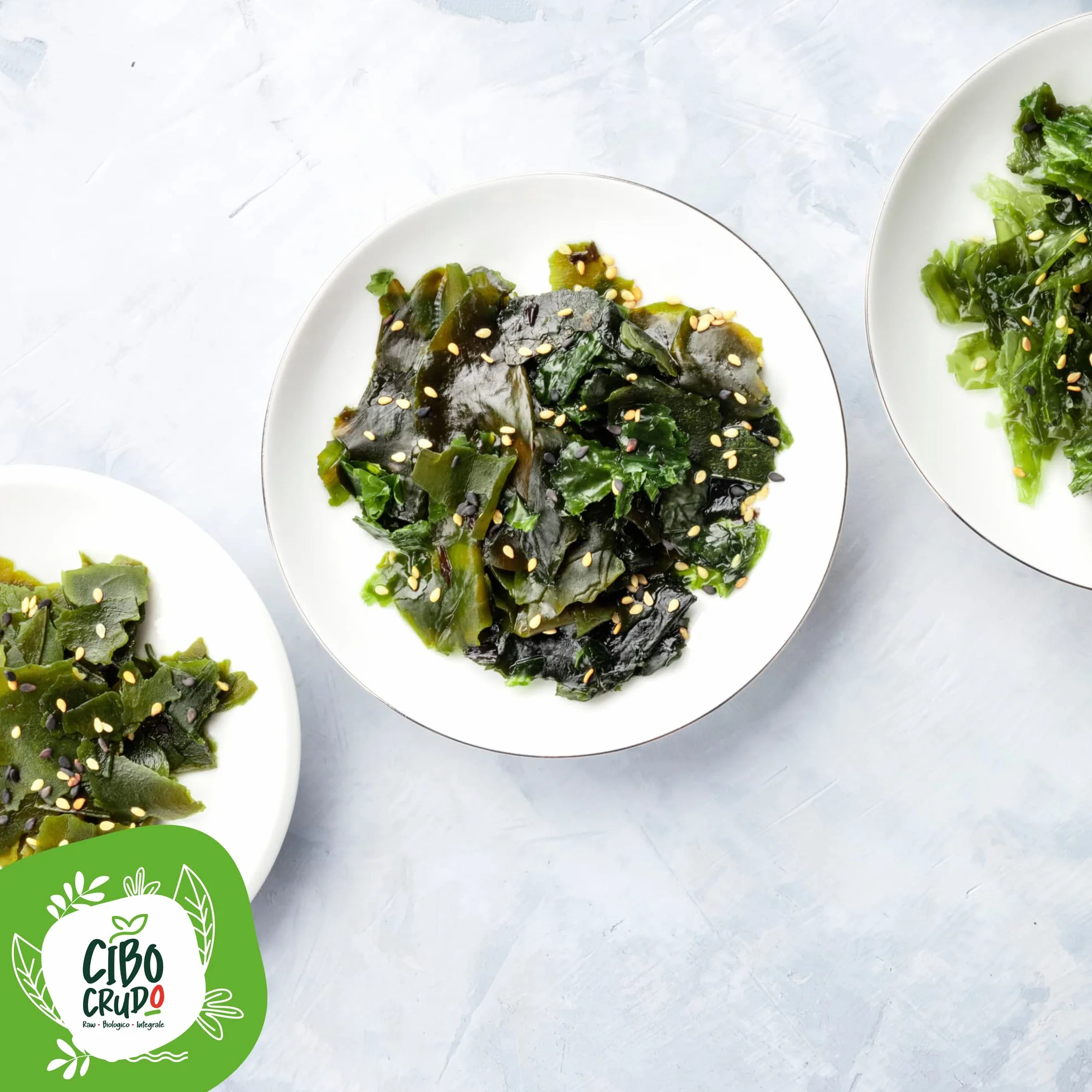 Ensalada de Algas Secas Ecológicas 60g Alga Dulse Nori Lechuga de Mar Snack