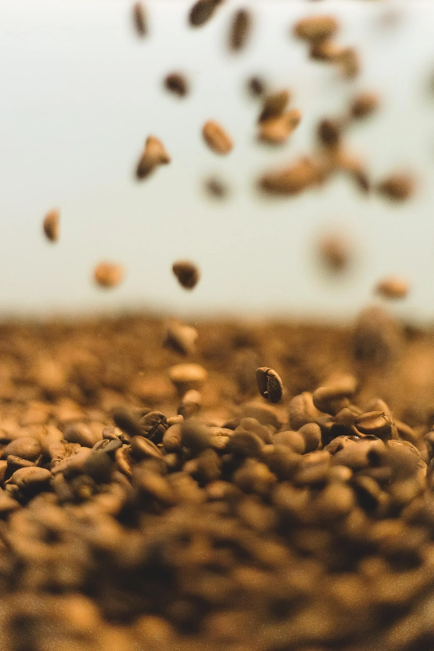 Delta Cafés Lote Superior Café en Grano 1 Kg