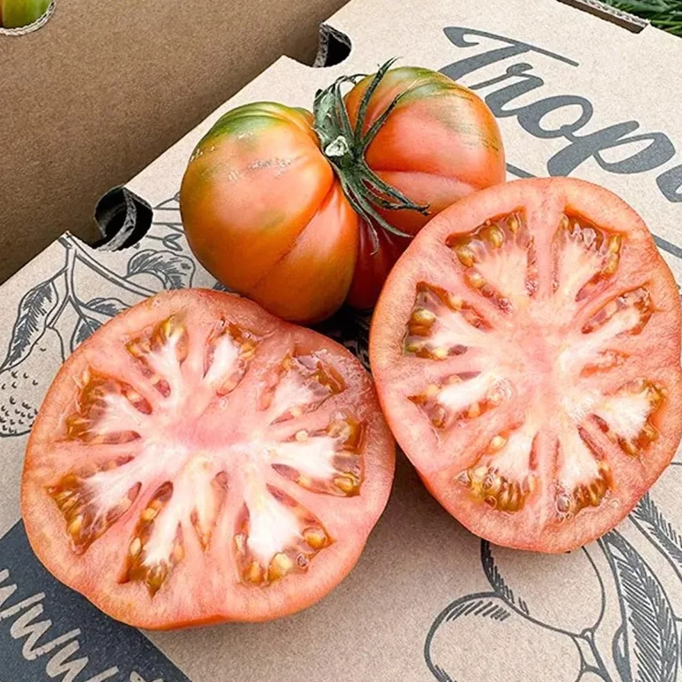 Tomate Raf 4 Kg frescos de temporada cultivados en España