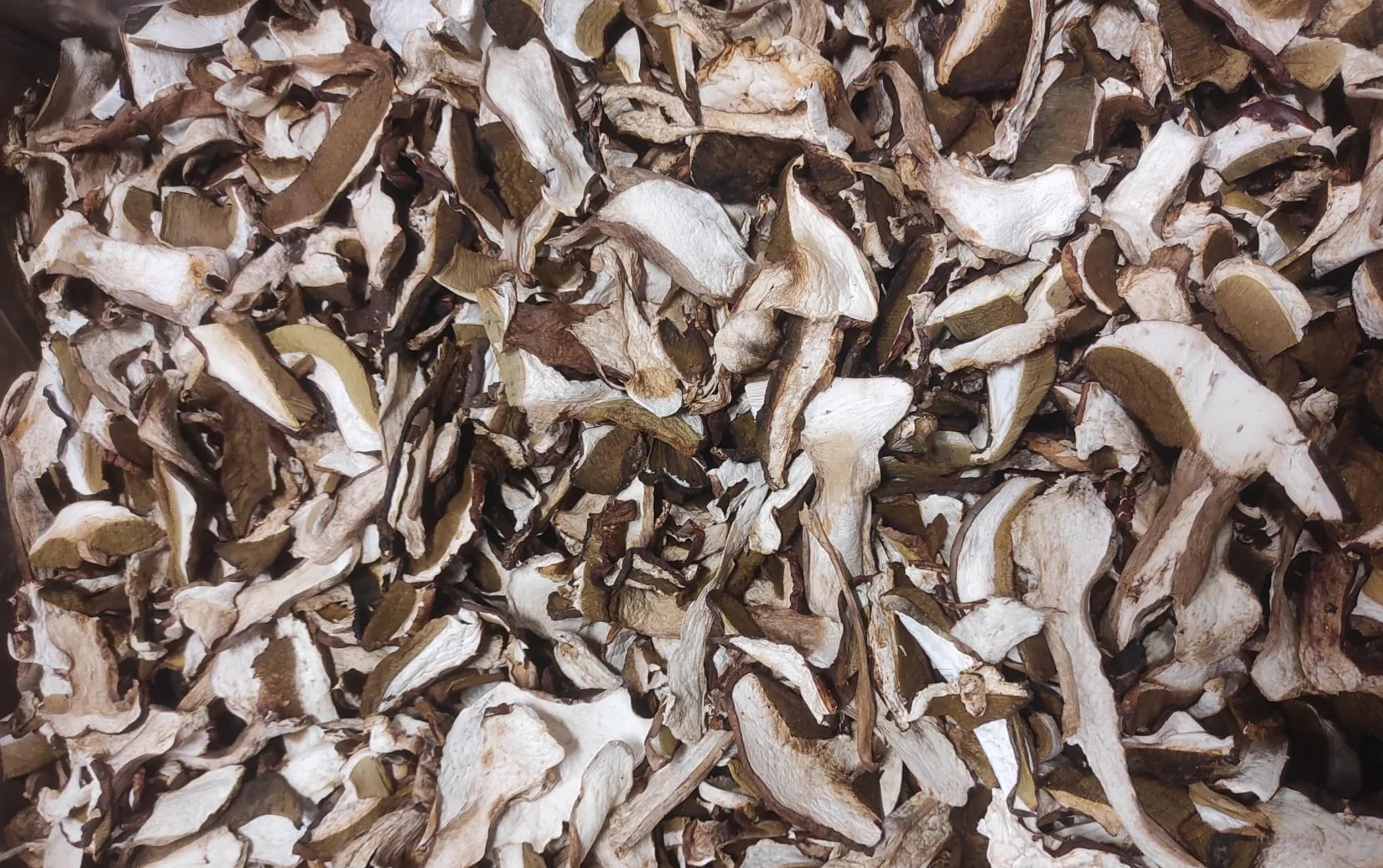 Boletus secos 50 g calidad extra Nespoli Funghi