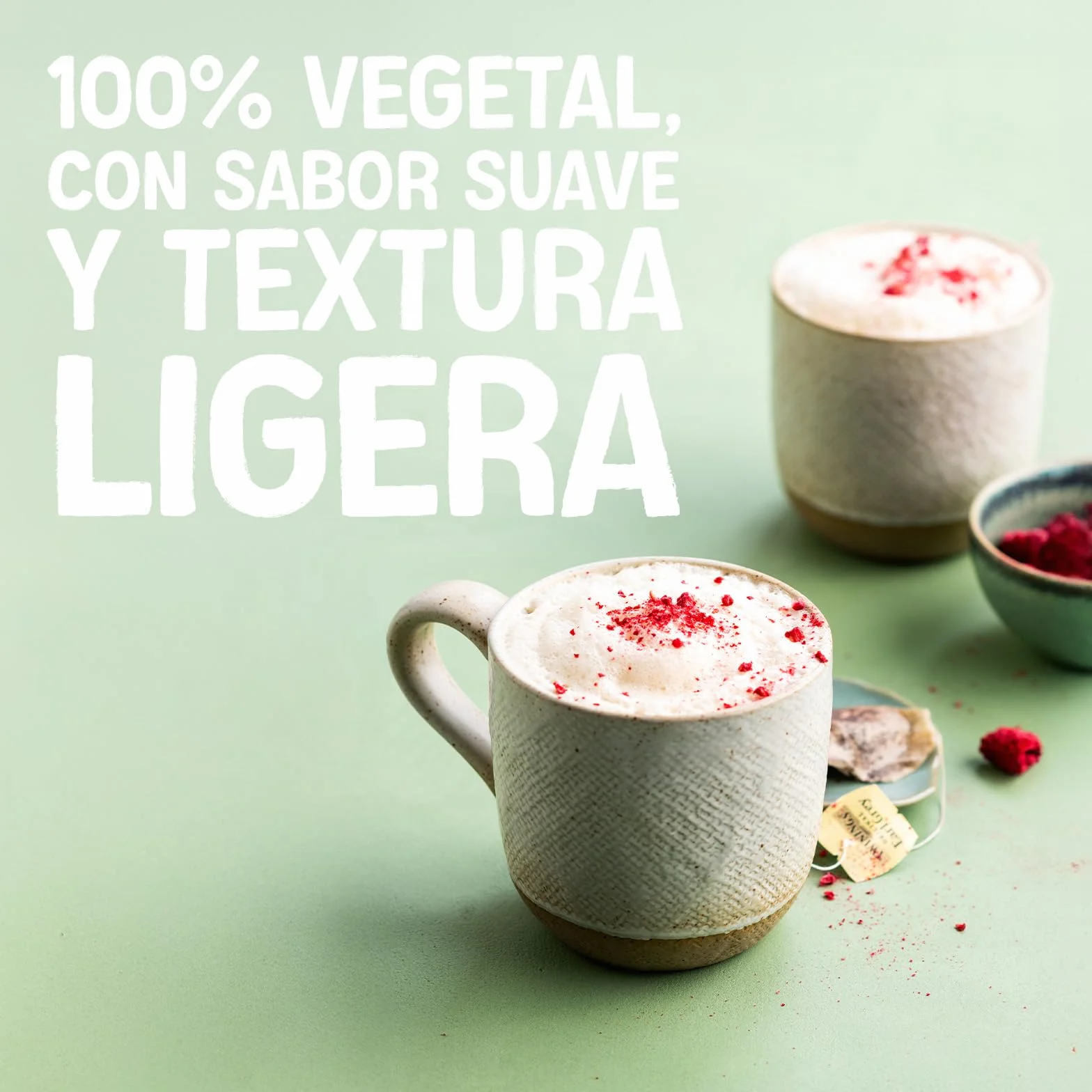 Alpro Bebida Vegetal de Soja Ligera Pack 6 x 1L