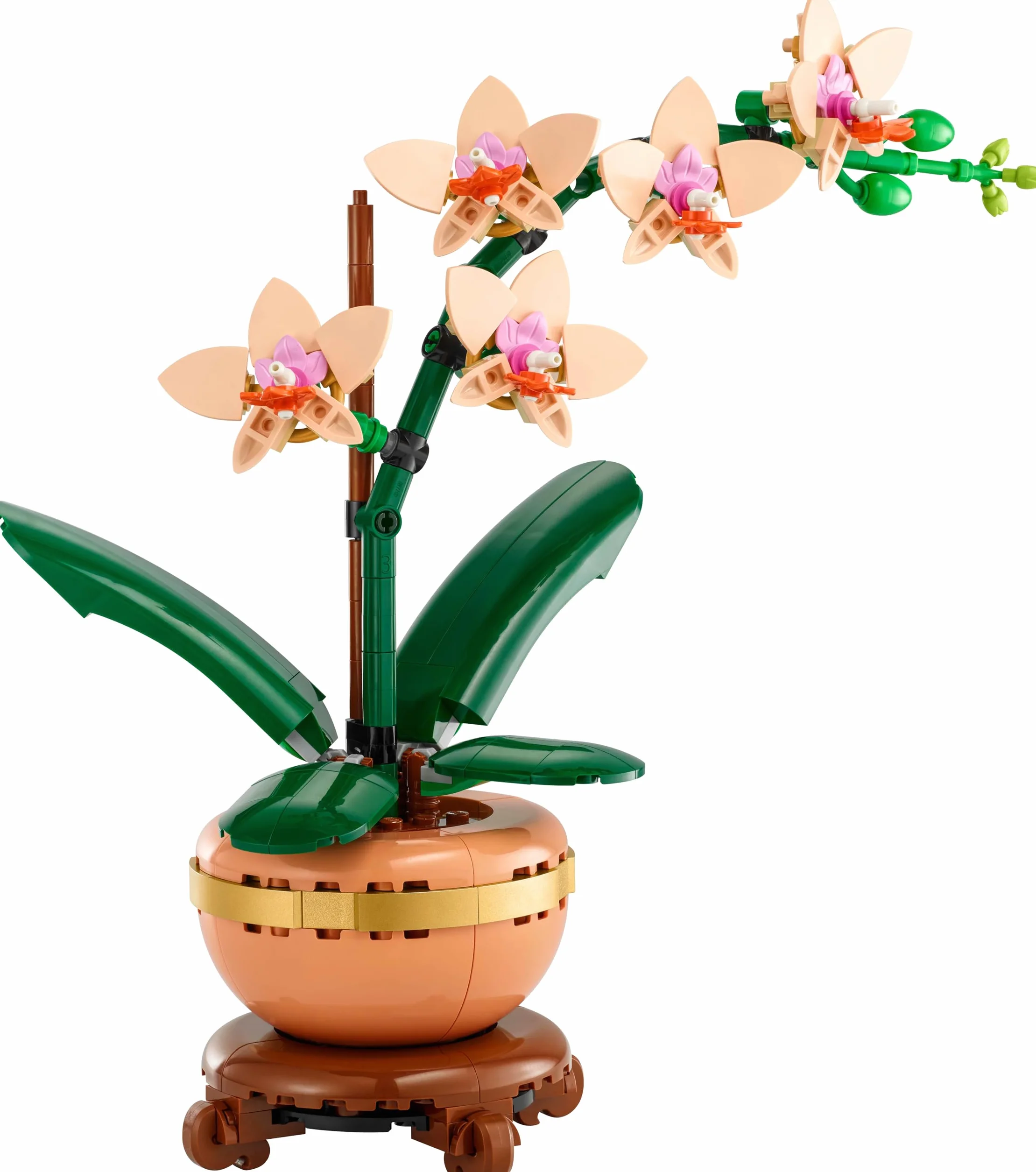 LEGO Botanicals Miniorquídea 10343 Maqueta para Construir Adultos Orquídea Flor Planta Artificial Decoración Hogar