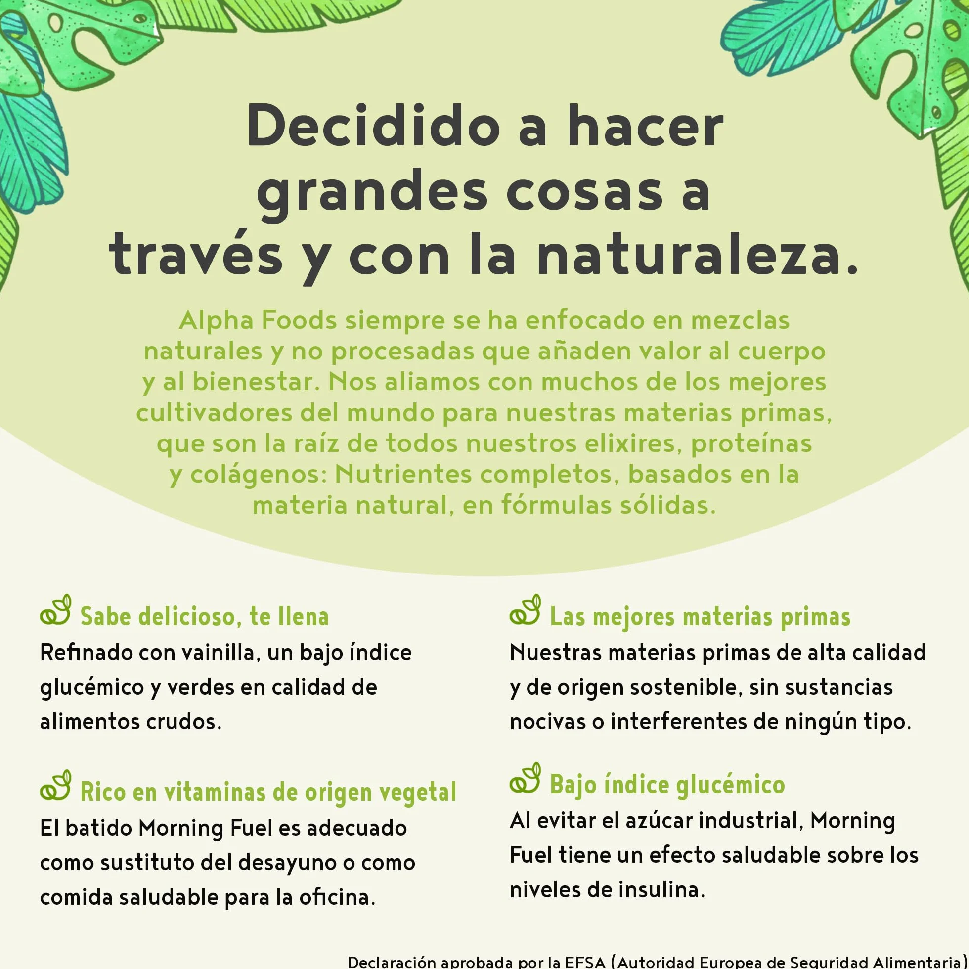 Morning Fuel Proteina Vegana Guisantes Avena Matcha Vainilla 600g