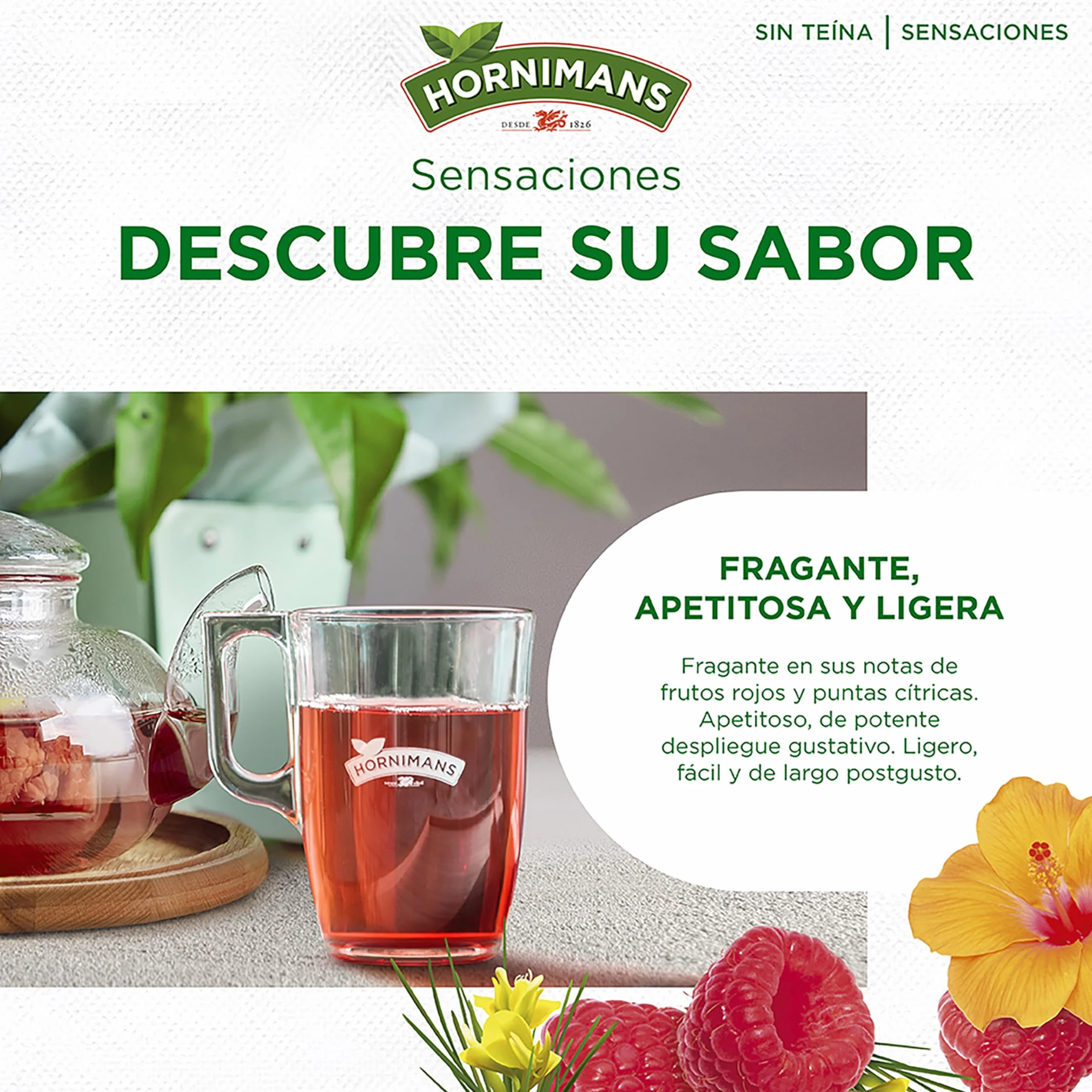 Hornimans Infusión de Frambuesa Rooibos 100% Natural 20 bolsitas Sin Teína