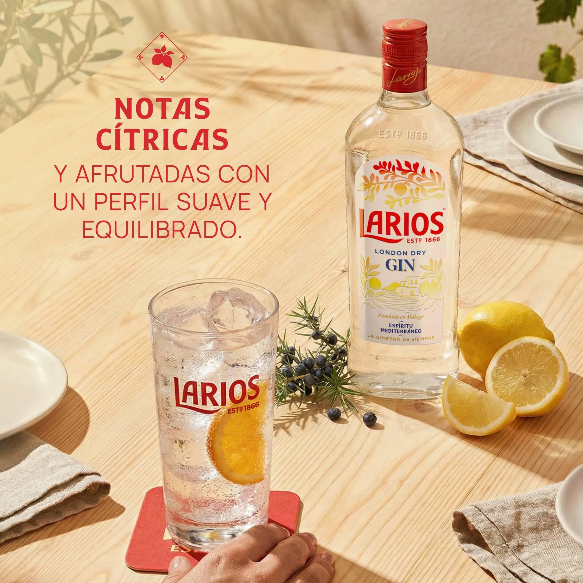 Larios Ginebra Mediterránea Dry Gin 1L