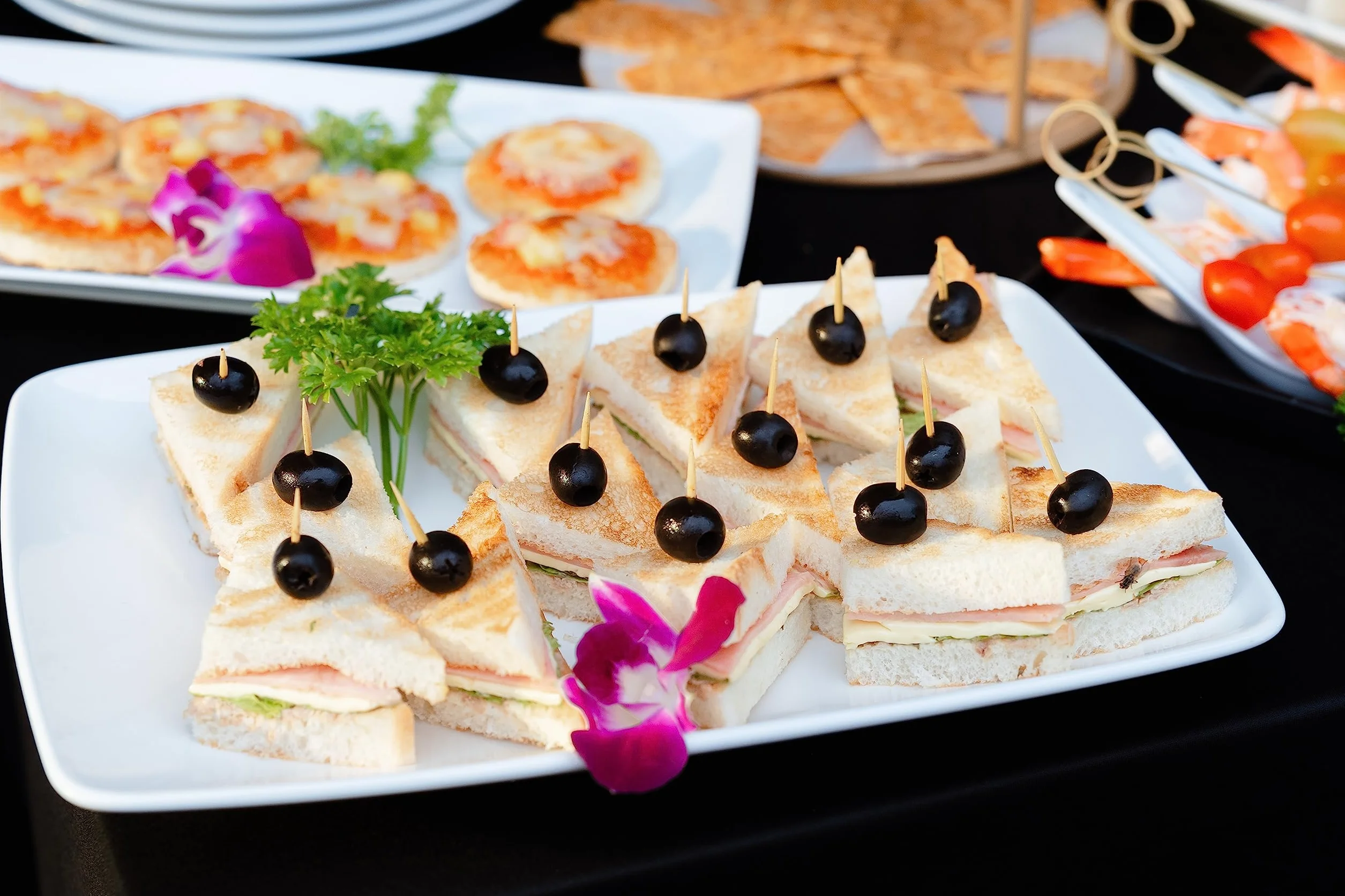 Palillos de bambú redondos 5000 unidades en 25 palilleros desechables para aperitivos