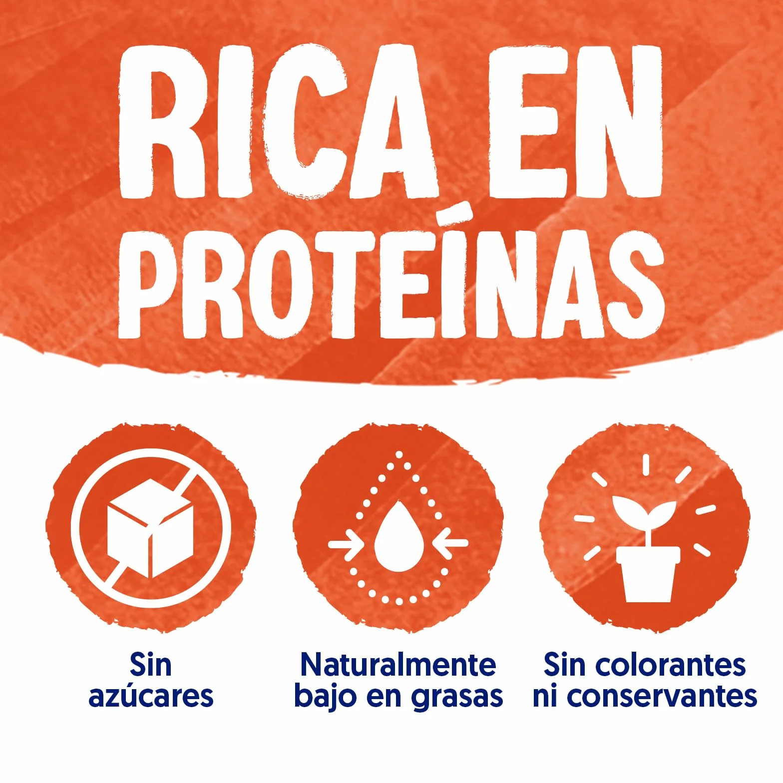 Alpro Bebida Vegetal de Soja sin Azúcar Pack 6 x 1L