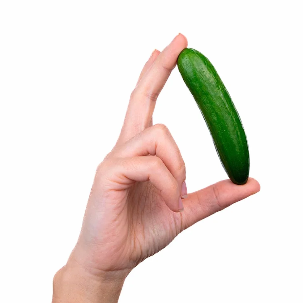 Pepino Cocktail Mycubies® 1kg La Parcela Origen España Andalucía Costa Tropical