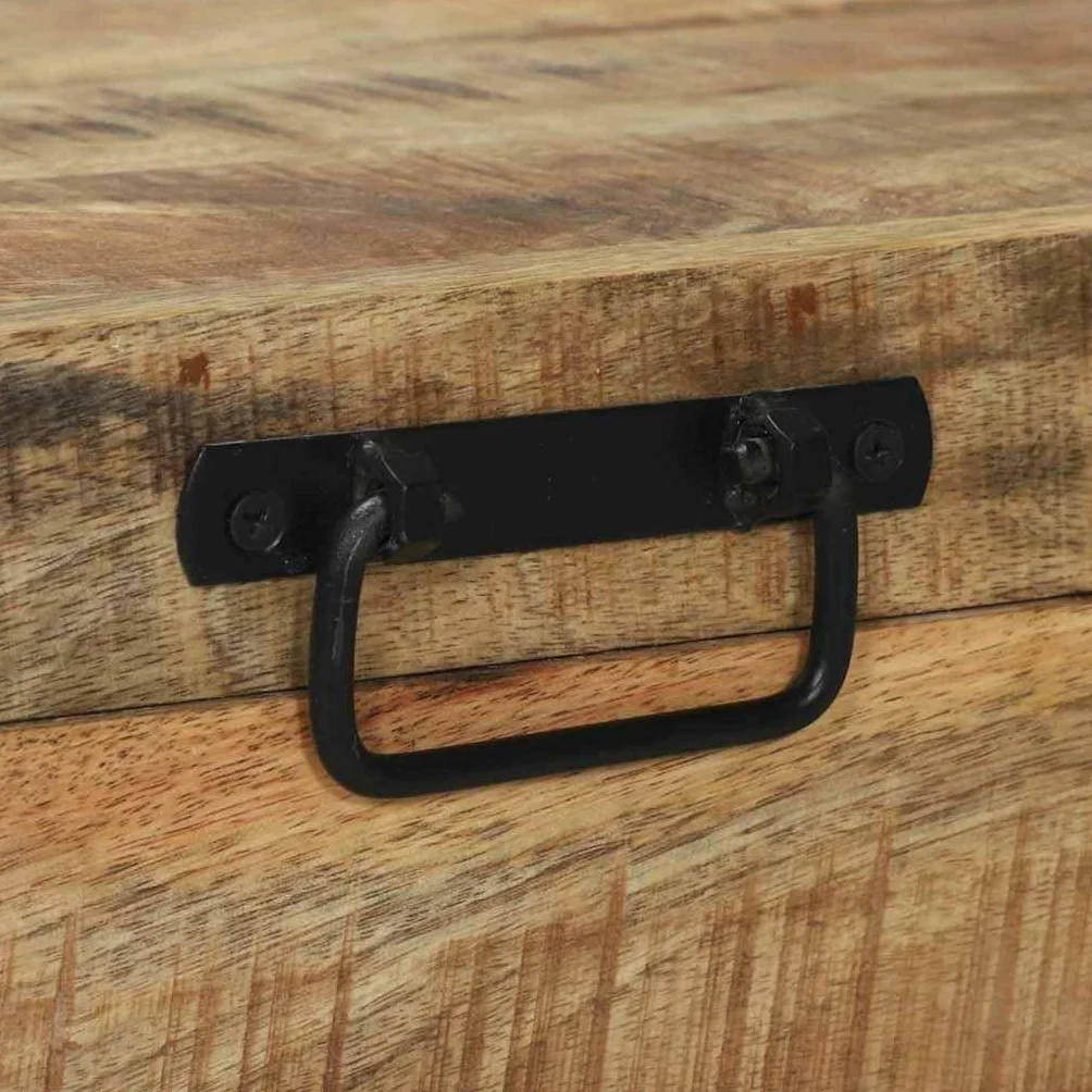 vidaXL Baúles de Almacenamiento 80 x 30 x 30 cm Madera Maciza de Mango, Almacenamiento para Dormitorio, cofres rectangulares, Estilo Industrial, solución rústica para tu Loft