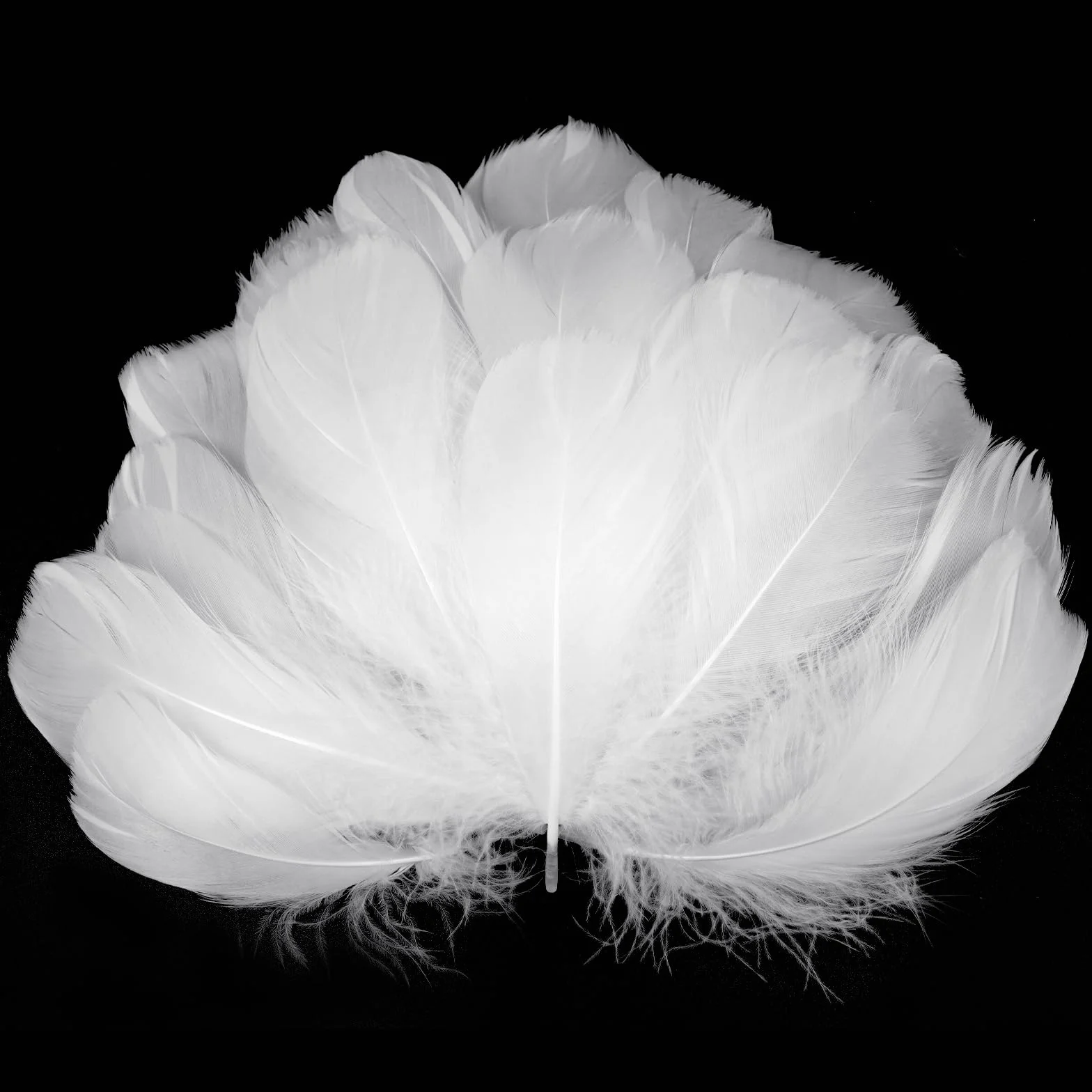 Plumas de Ganso Blancas 6-12cm, 100 Piezas para Manualidades, Atrapasueños, DIY Tocado