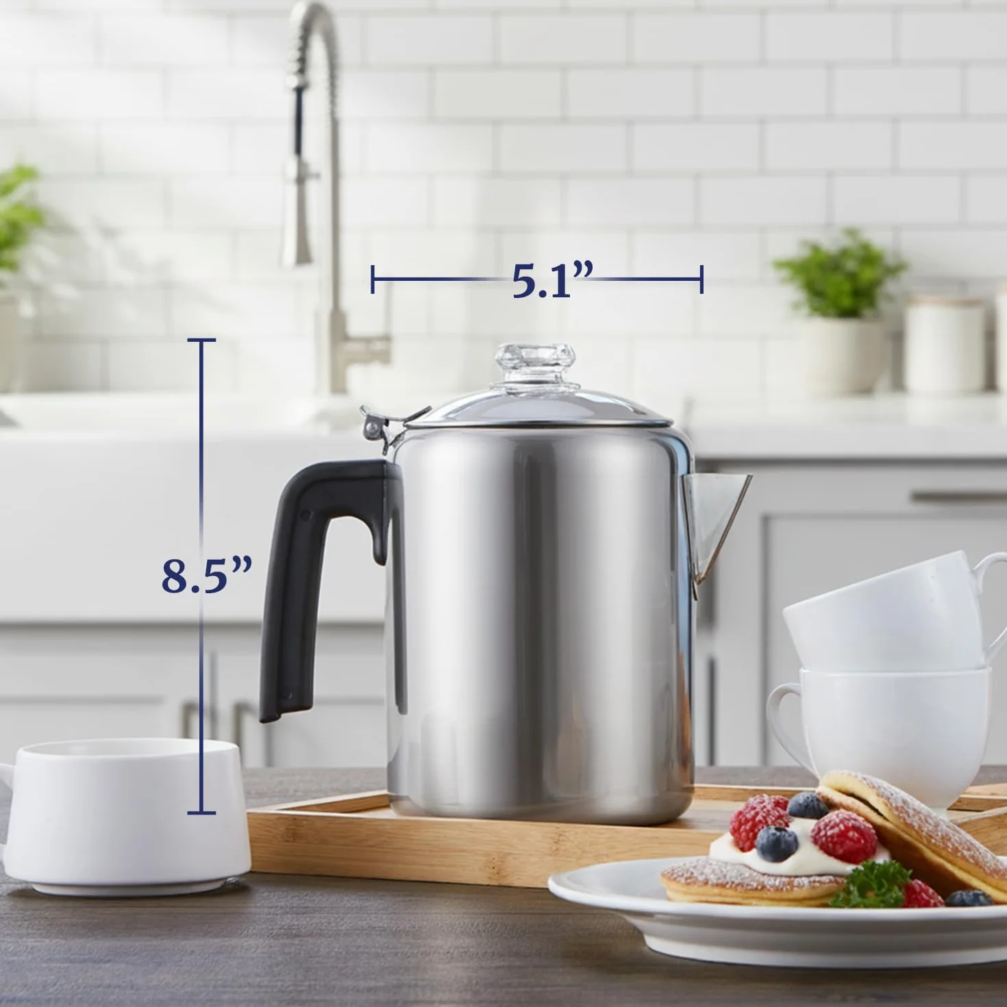 Elite Gourmet EC008 Classic Percolador de café para estufa 8 tazas acero inoxidable