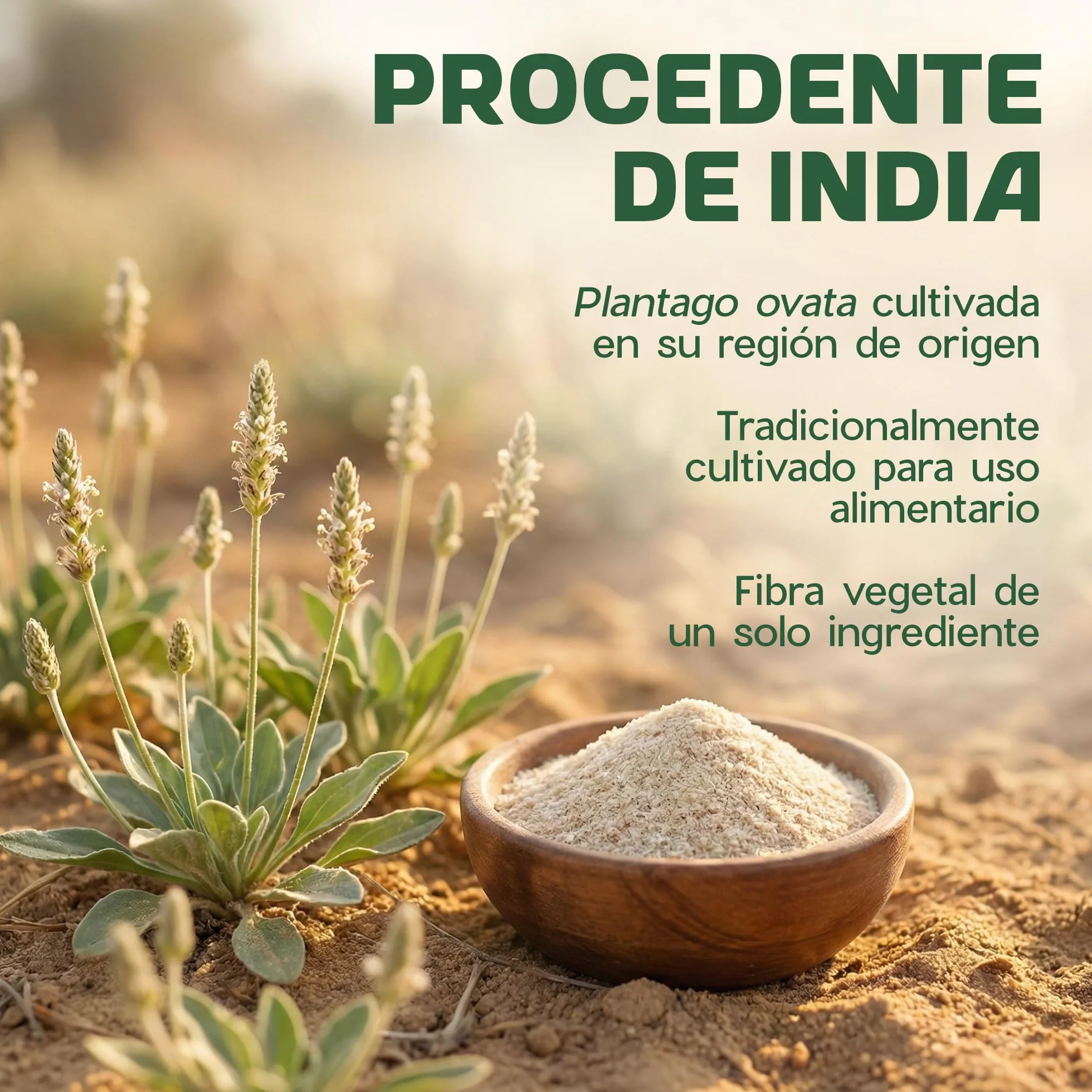Psyllium Husk en Polvo 500 g - Alto en Fibra (~85%), Sabor Neutro - Vegano, Sin OGM - Plantago Ovata