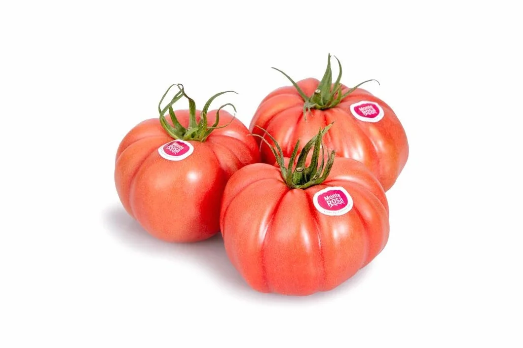 Tomate Monterosa 3.5kg La Parcela España Andalucía Costa Tropical Fresco Cooperativa Granada La Palma
