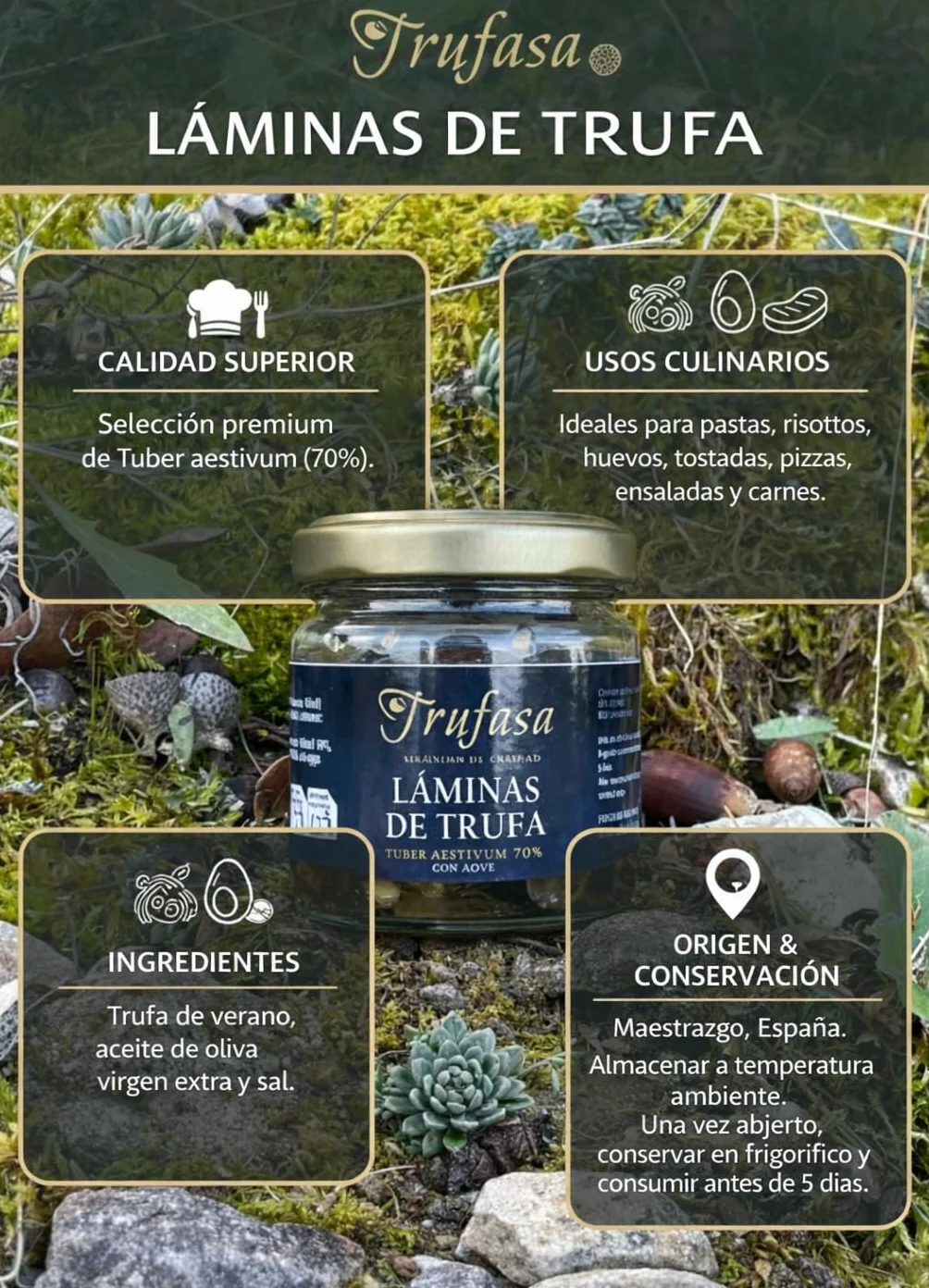 Láminas de Trufa de Verano Tuber Aestivum 70% 80 g Aceite de Oliva Virgen Extra 100% Natural