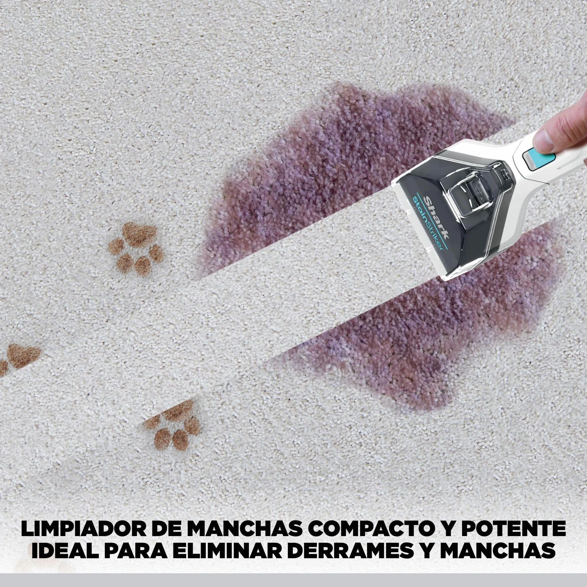 Shark StainStriker Limpiador de manchas con 5 accesorios, minicepillo para pelo de mascotas, boquilla estrecha, tubo de limpieza, 2 x soluciones de limpieza incluidas, ligero y portátil, 450W PX200EUT