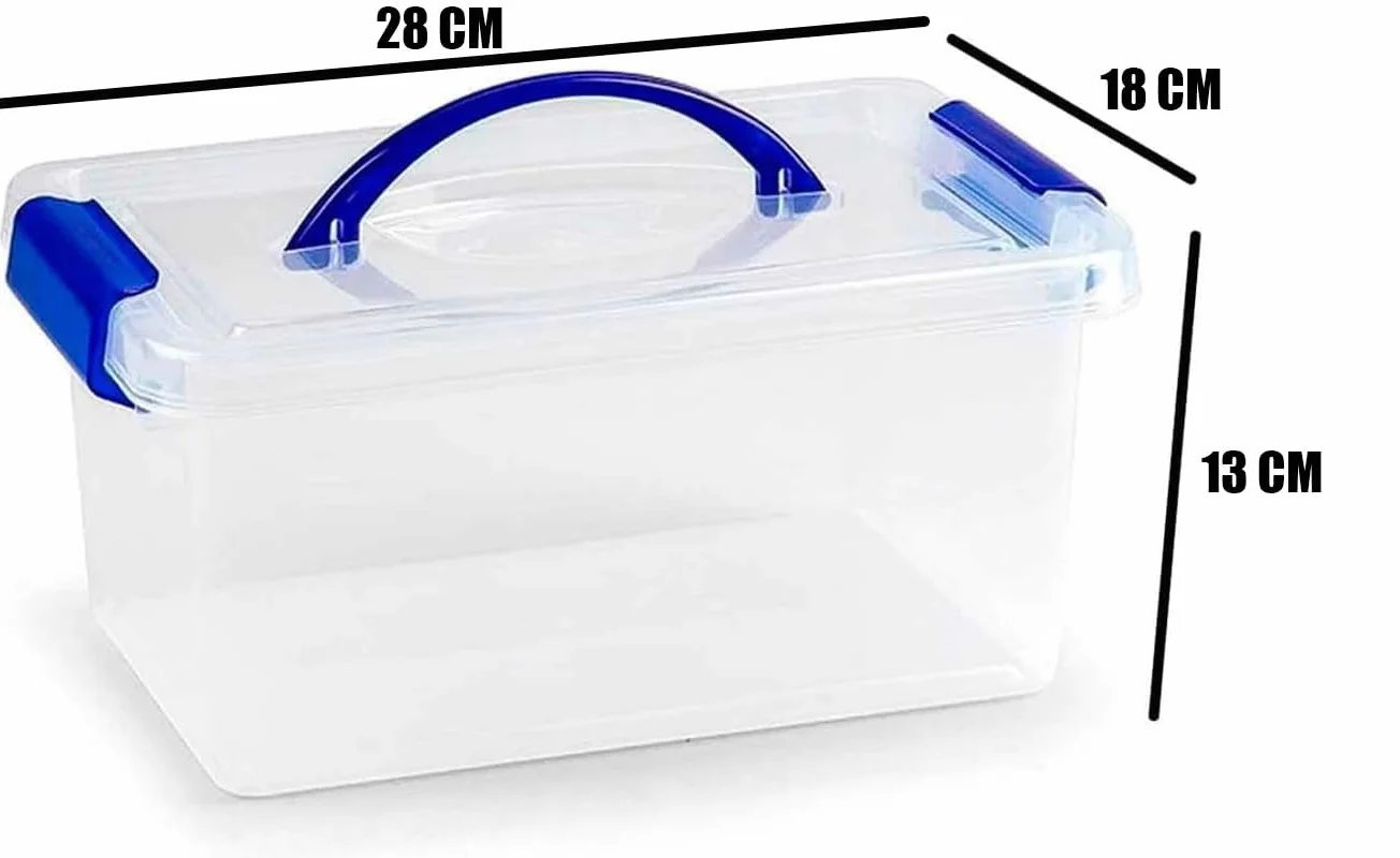 Tradineur - Caja de almacenamiento - Mini Box (Asa) - Fabricado en plástico - Capacidad de 4 Litros - 18 x 28 x 13 cm