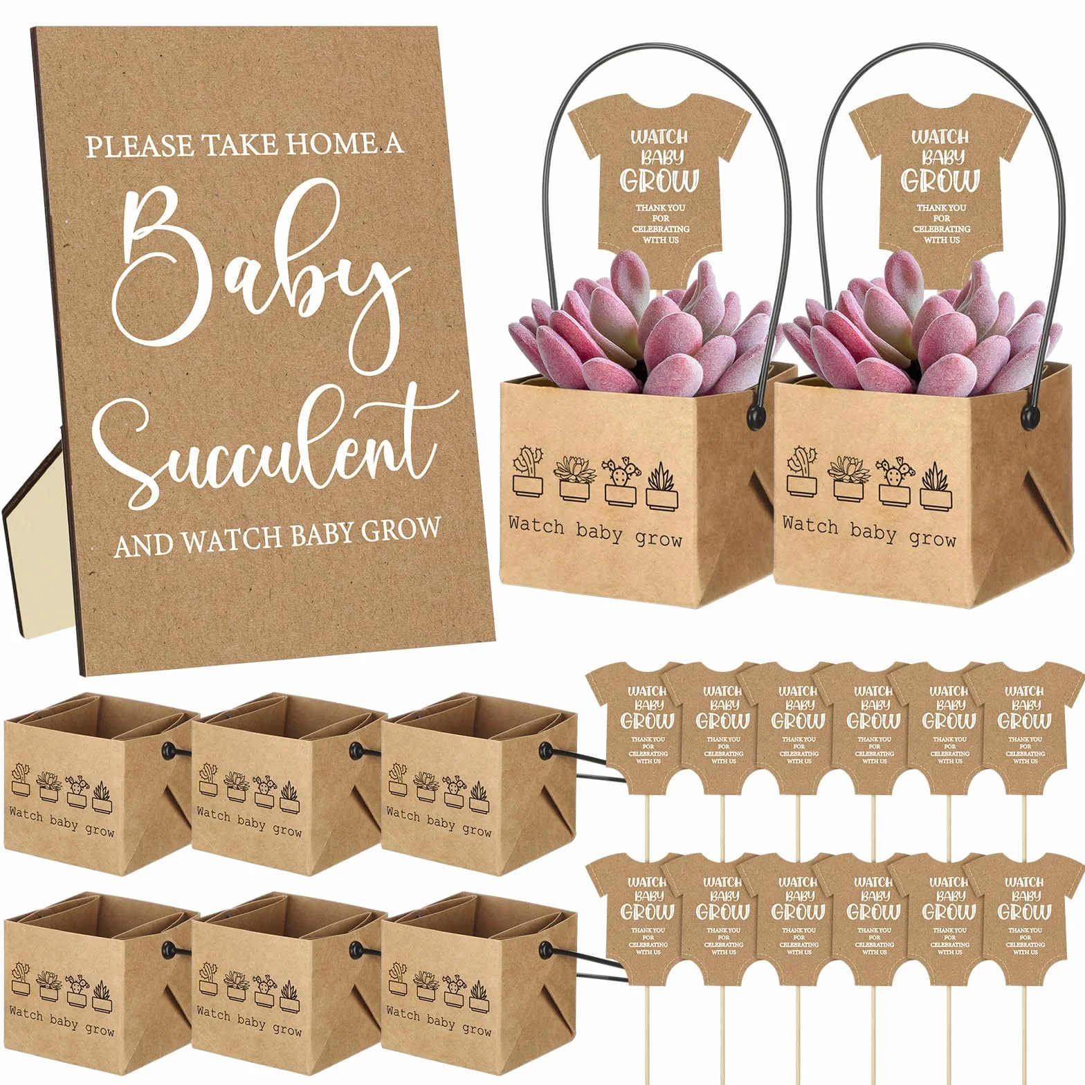 121 piezas de recuerdos de suculentas para baby shower, incluye 1 cartel, 60 etiquetas para suculentas, 60 envolturas de suculentas, regalos de suculentas de bebé, regalos para invitados, no
