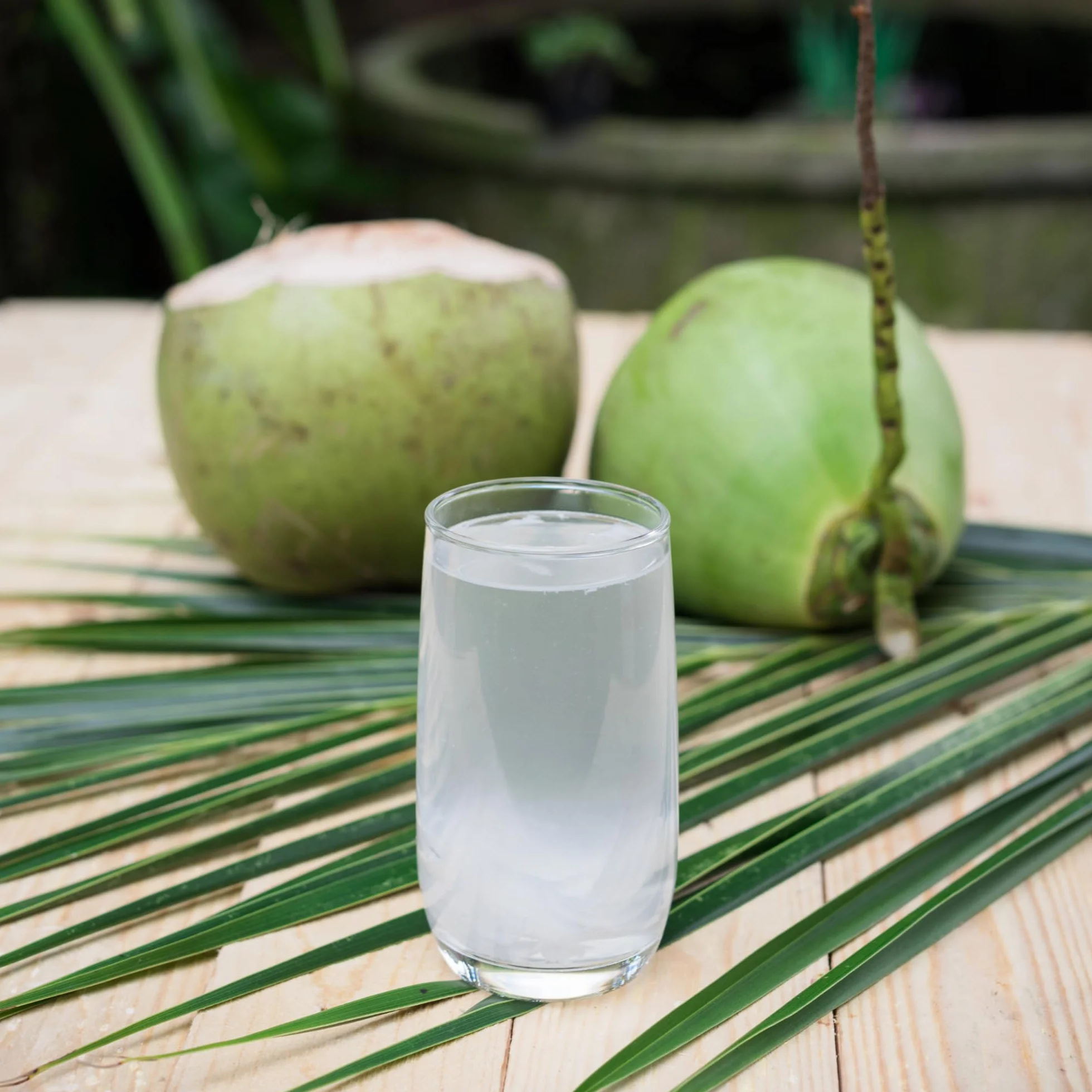BAMBOO TREE Agua de Coco Multipack 12 x 1 LTR