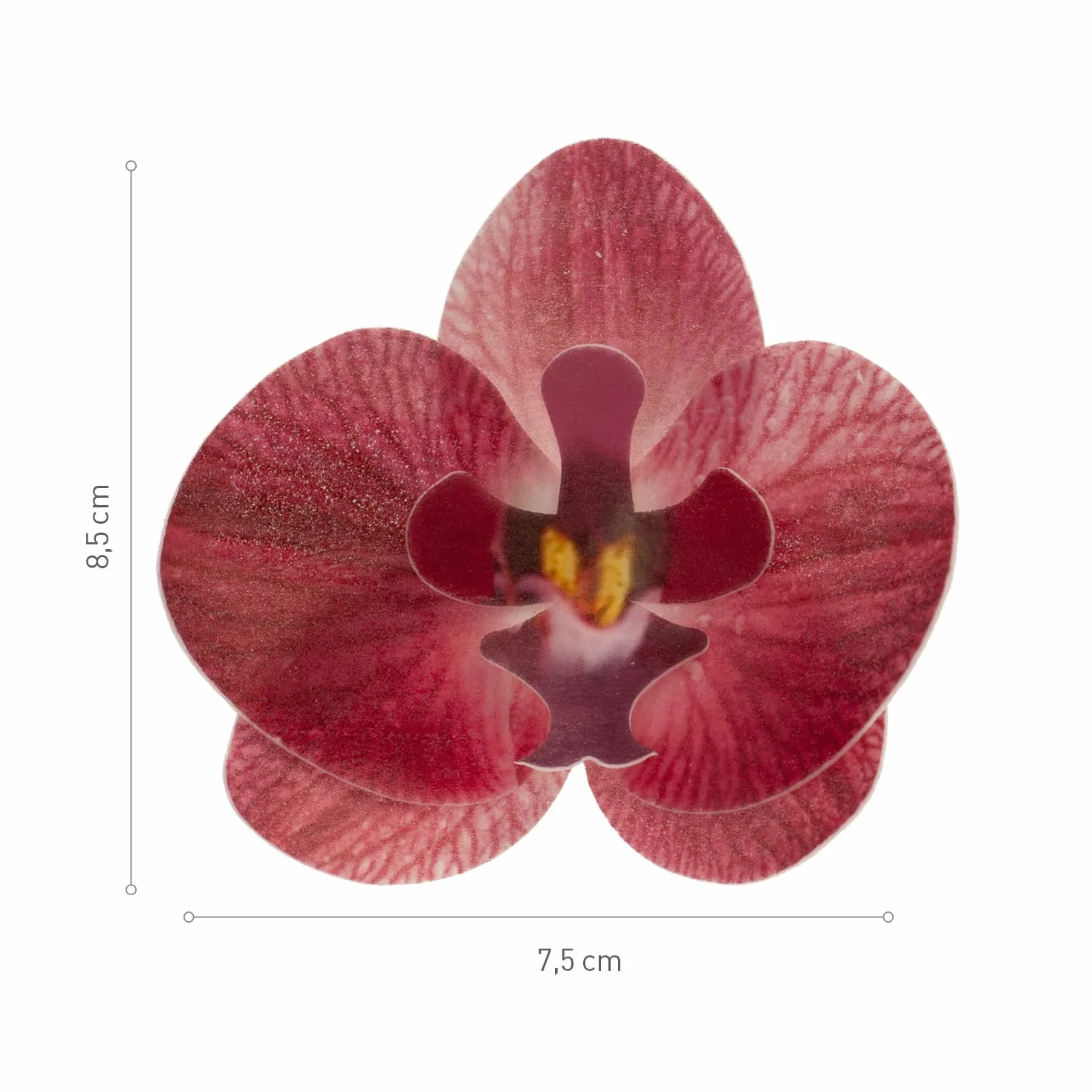 Flores Comestibles para Tartas, 10 Orquídeas Burdeos de Oblea 8.5x7.5cm, Sin Azúcar, Sin Gluten, Sin Lactosa