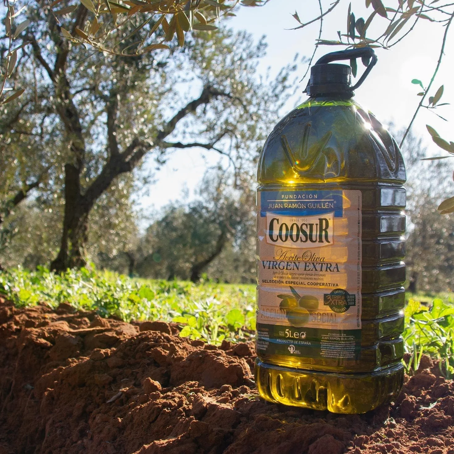 Aceite de Oliva Virgen Extra 5 Litros Garrafa PET Cooperativa