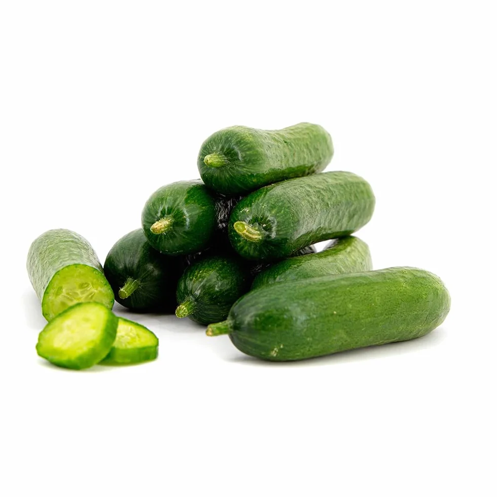 Pepino Cocktail Mycubies® 1kg La Parcela Origen España Andalucía Costa Tropical