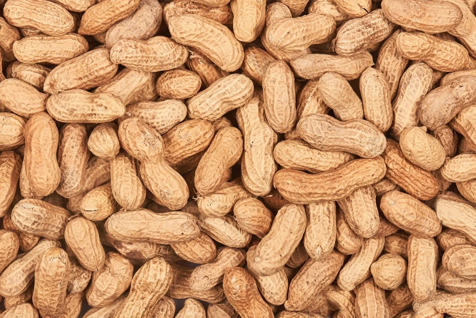 La Albufera Cacahuete Cascara Tostado Sin Sal - Bolsa 3 Kg - Cacao Cascara Tostado