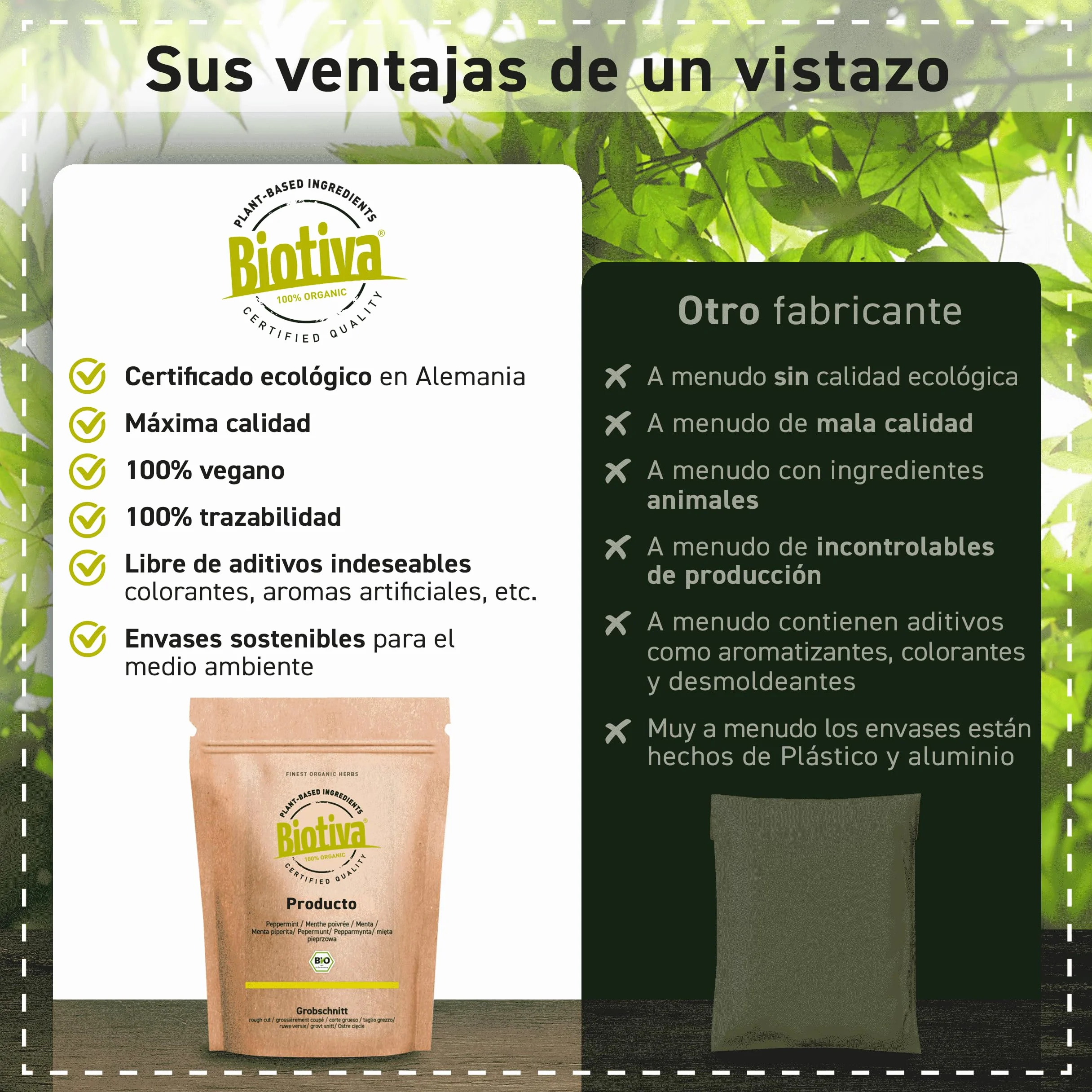 Biotiva Polvo de fresa orgánica liofilizado 90 g - Superfood vegano sin lactosa sin soja