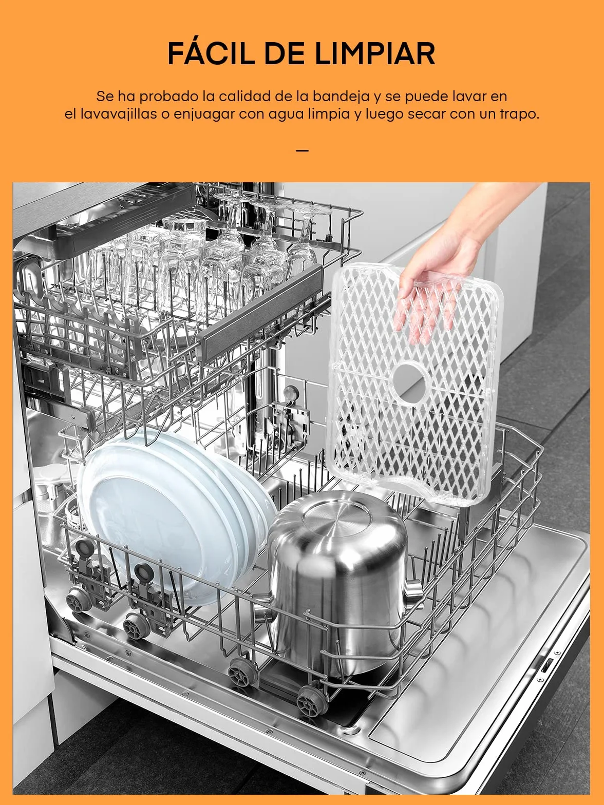 Deshidratador de Alimentos con 5 Bandejas Ajustables, Temperatura Ajustable 35-70°C