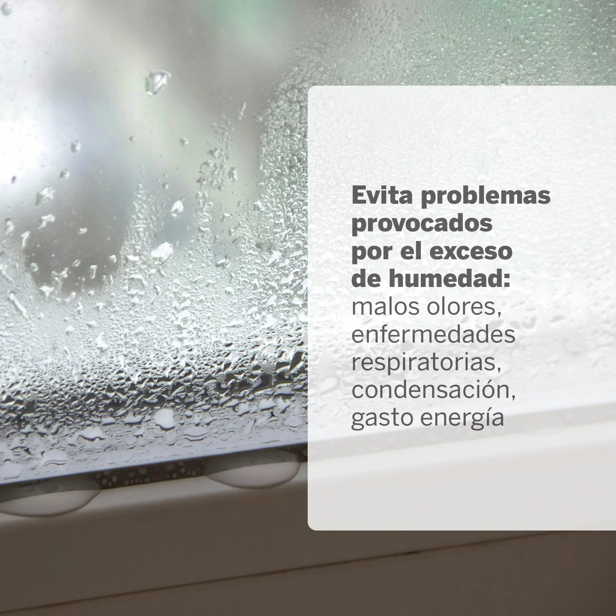 HUMYDRY Premium 450g. Deshumidificador sin enchufe con bolsa antihumedad | Evita moho, condensación y olor a humedad | Ideal para habitaciones, cocinas y oficinas hasta 15m²