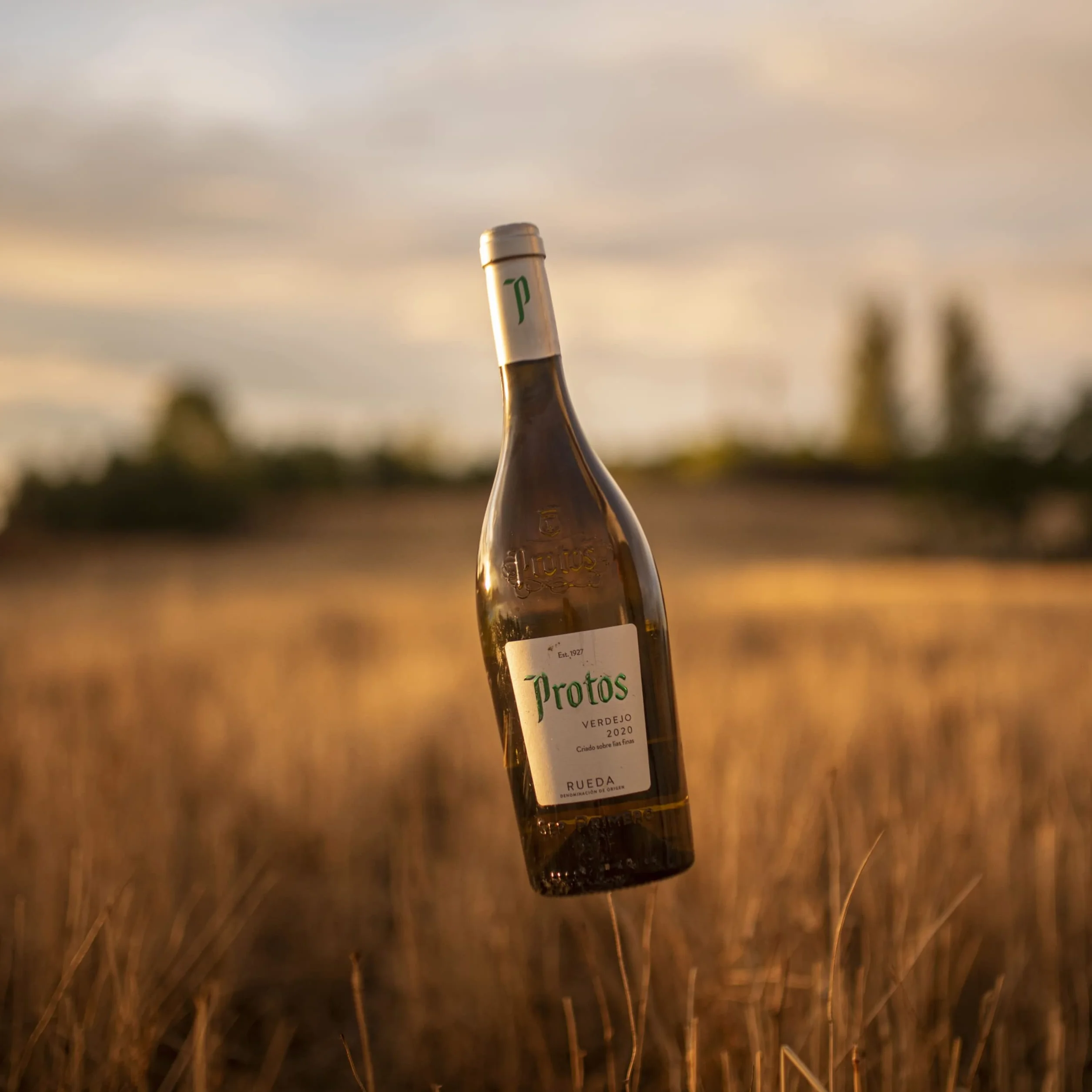 Protos Vino Blanco Verdejo D.O. Rueda 75cl