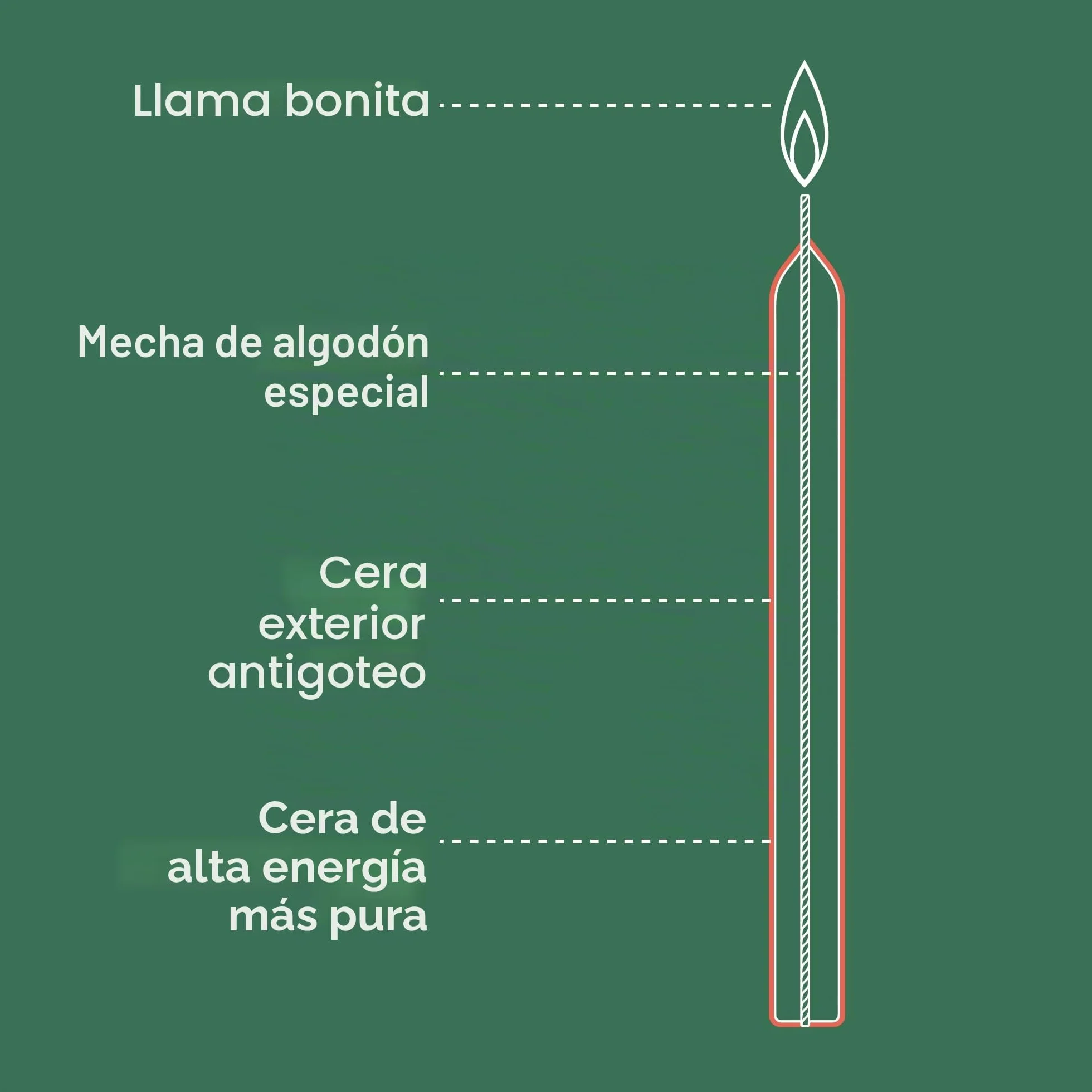 Bolsius Velas cónicas de cena blanco paquete 8 unidades 17 x 2 cm larga duración 5 horas sin perfume cera vegana natural sin goteo