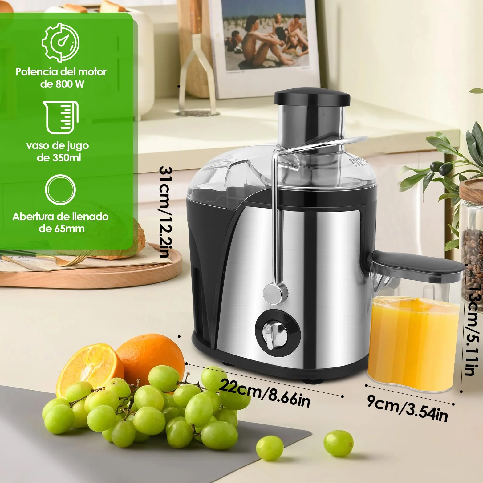 Dreamhigh® Extractor de Zumos, Licuadora para Verduras y Frutas 800W de Acero Inoxidable, Extractor de Zumos y Verduras con Boca de 65 mm, 3 Velocidades, de Ajuste Apto Para Zumos de Frutas y Verduras