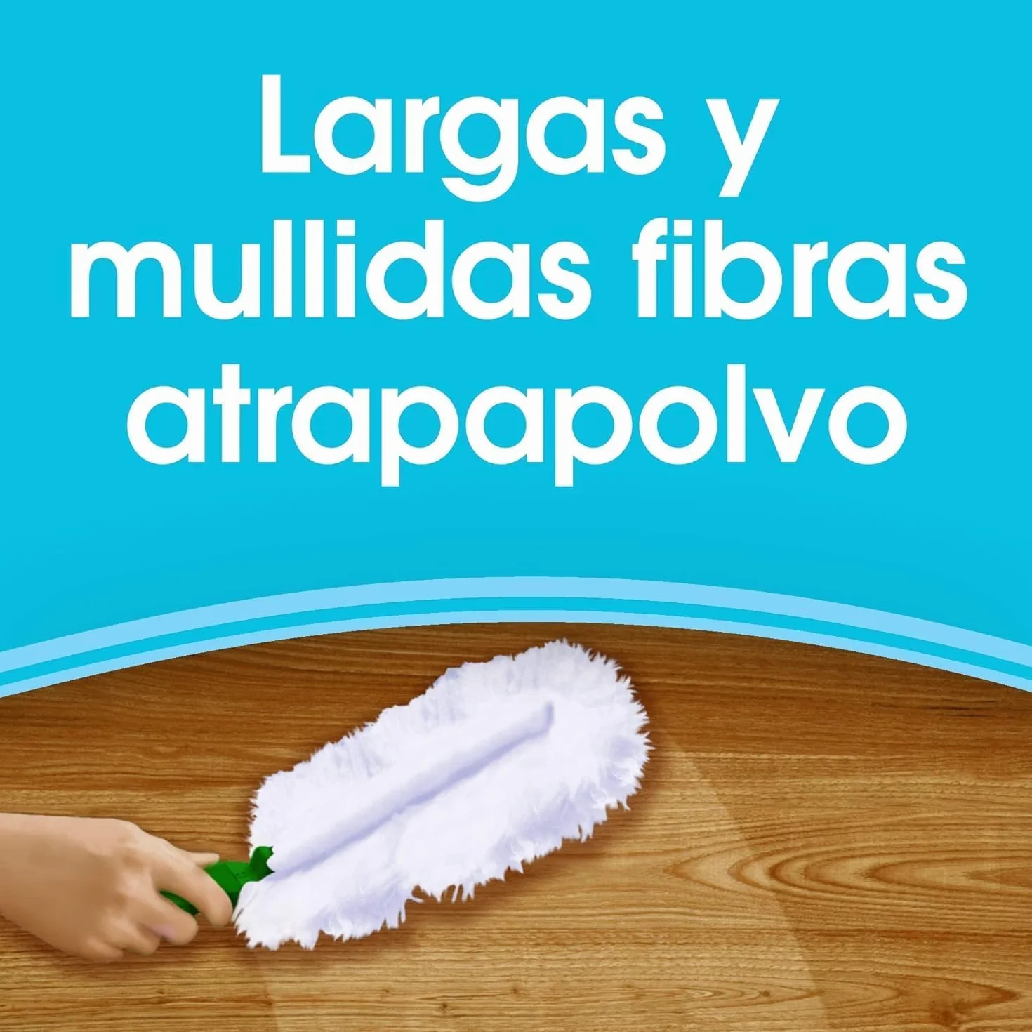Pronto Plumero 5 recambios